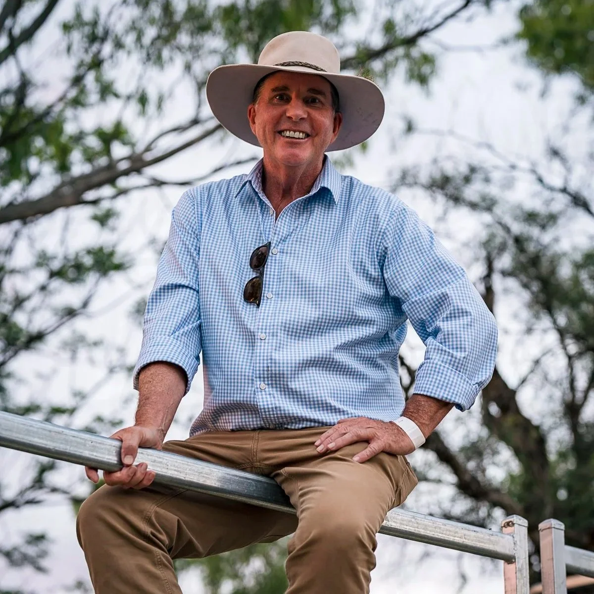 Farming Wind and Livestock
