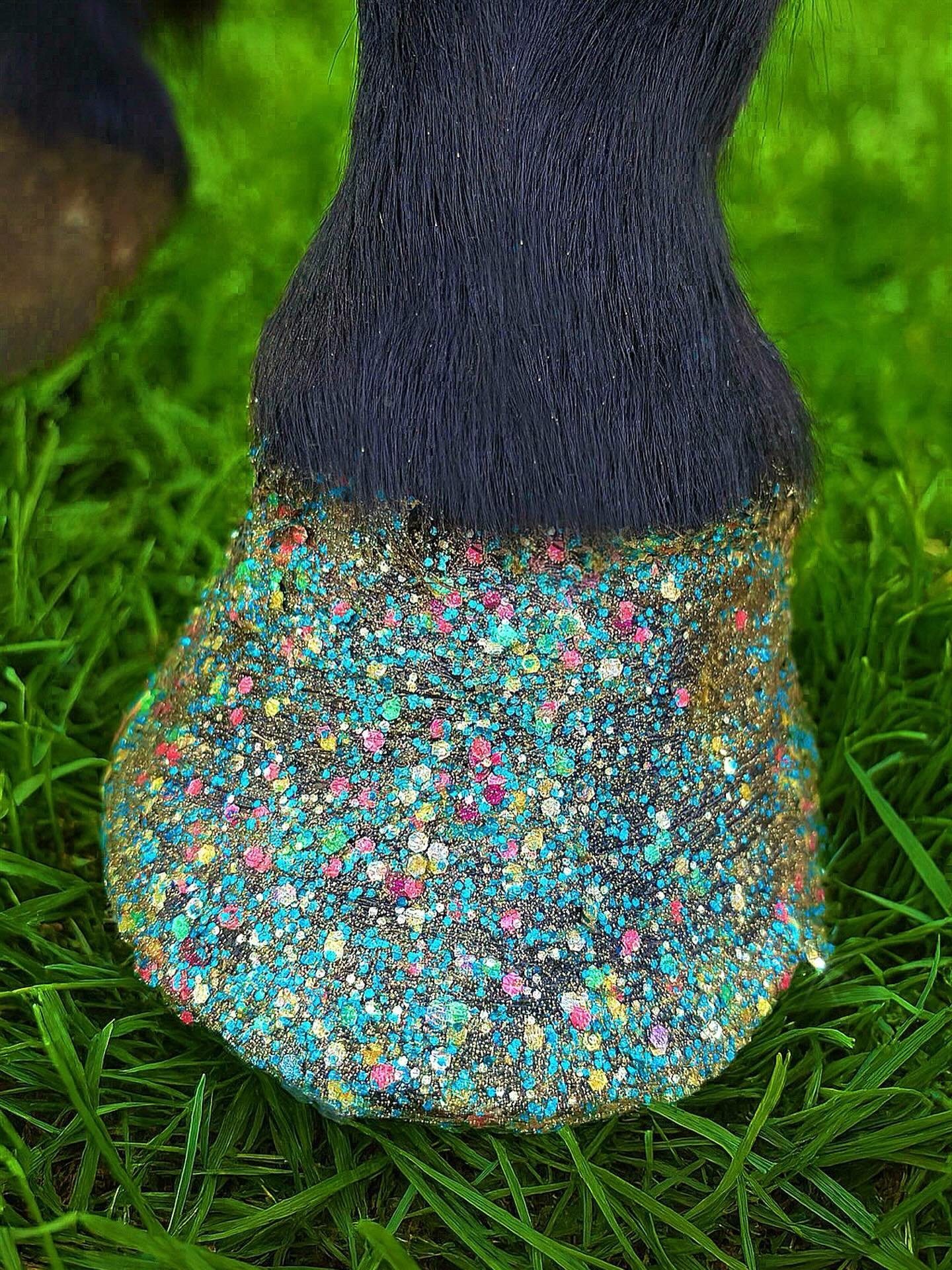 @unicorn.glitter.hoof.balm 🤩🤩🤩
All natural biodegrade hoof oil made from coconut oil , olive oil , beeswax and eucalyptus based biodegradable glitter ✨ 
Hand poured with love in Geelong 
www.sarahhayden.com.au