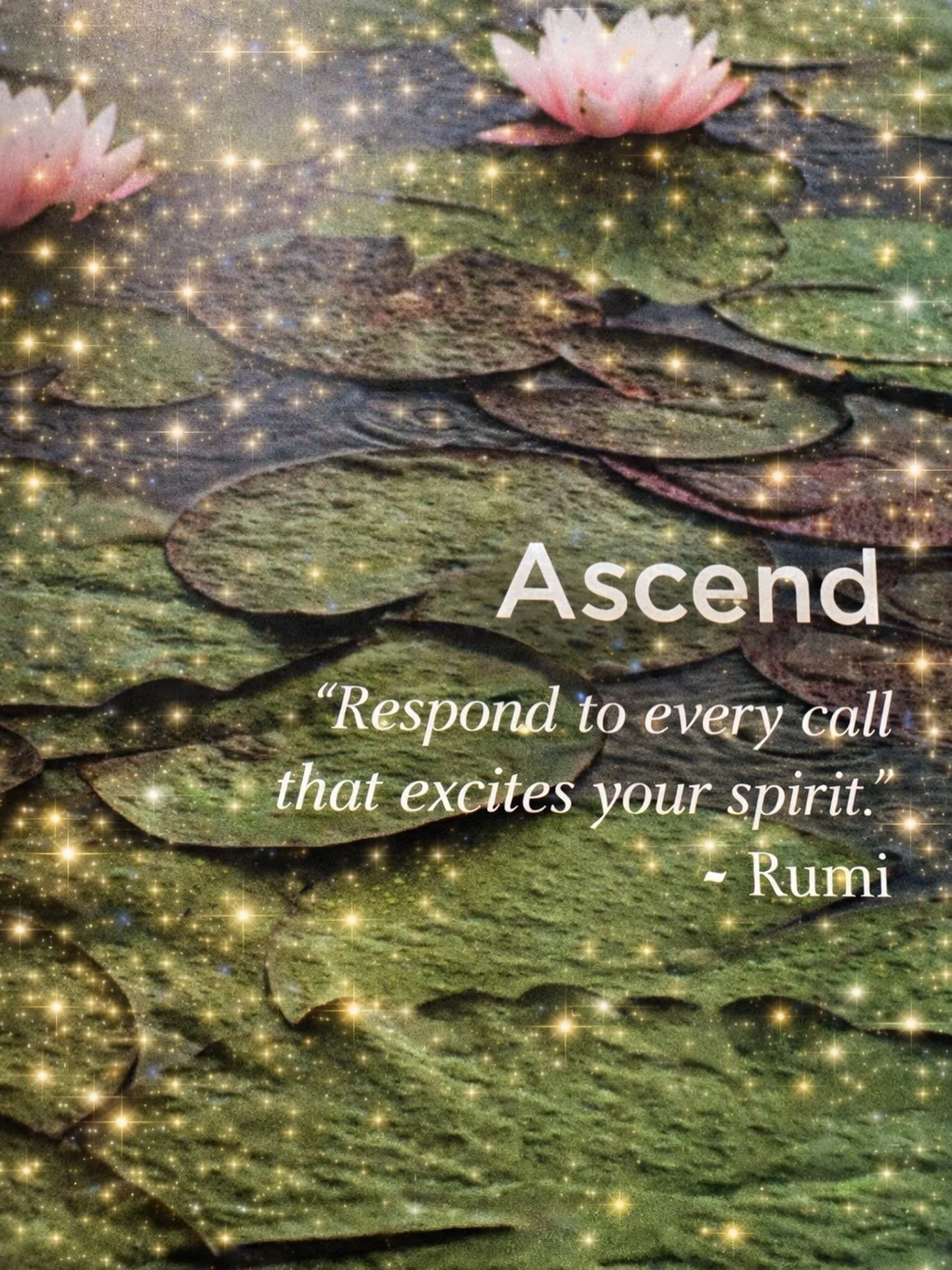 Here&rsquo;s to a year of rising gently, choosing joy, and answering the quiet whispers of your soul 

May 2026 be the year you respond to every call that excites your spirit ✨🫶🙏