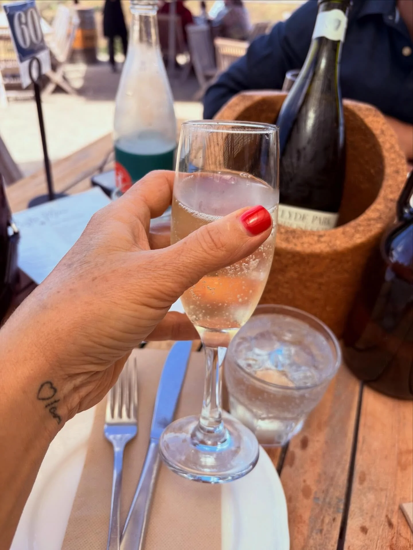 Perfect sunny Sunday afternoon drinking Prosecco at @clydeparkwines 🥂