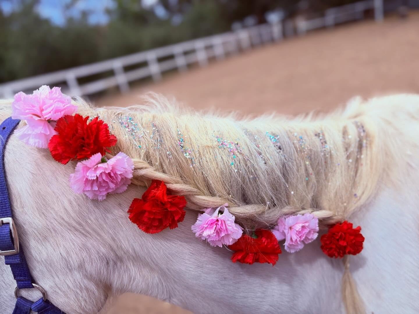 The girls have been making my lovely Charlie boy in to a sparkling ✨ unicorn 🦄 with my beautiful @unicorn.glitter.hoof.balm suitable for hair and hooves 🫶🙌🤩