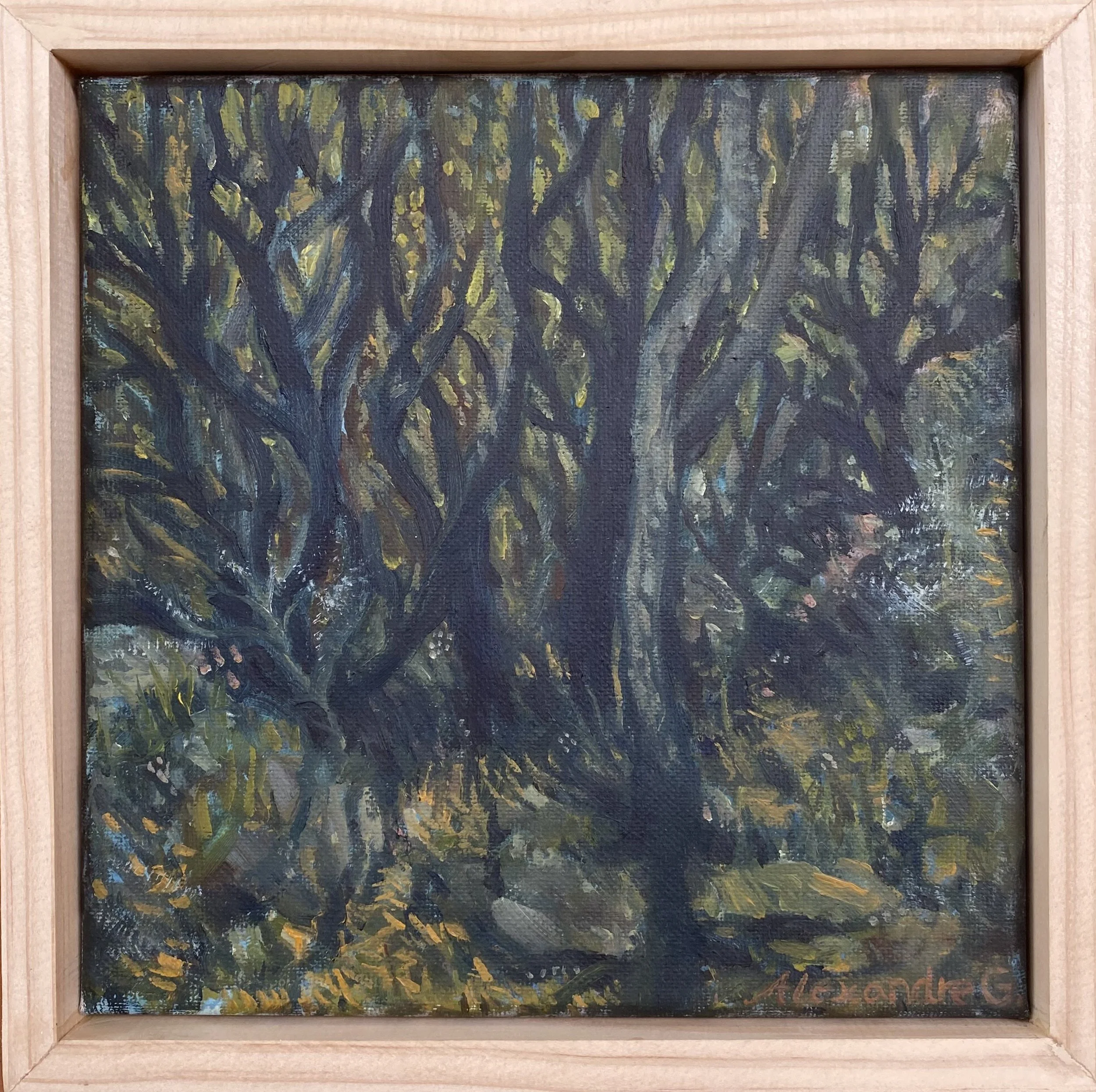 Lynton's Whispering Forest