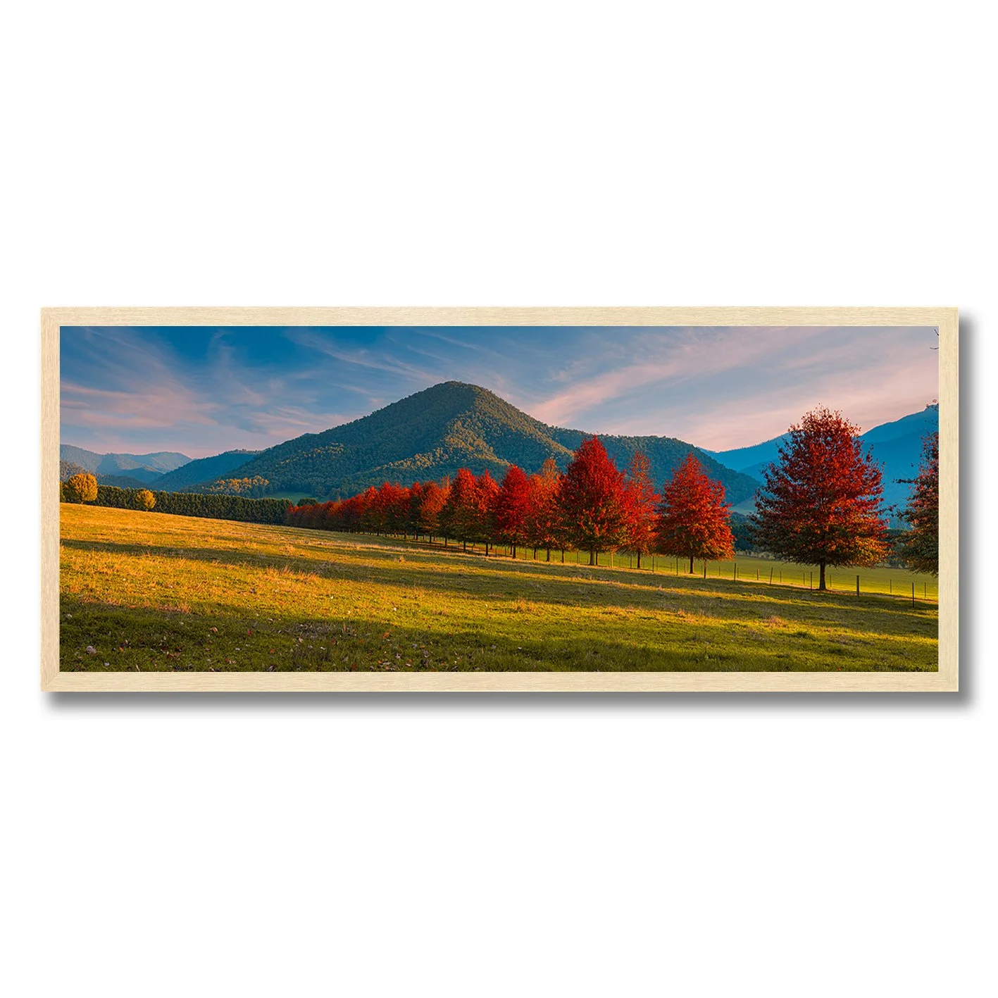 fine art photograph of autumn trees in buckland valley victoria with mountain backdrop