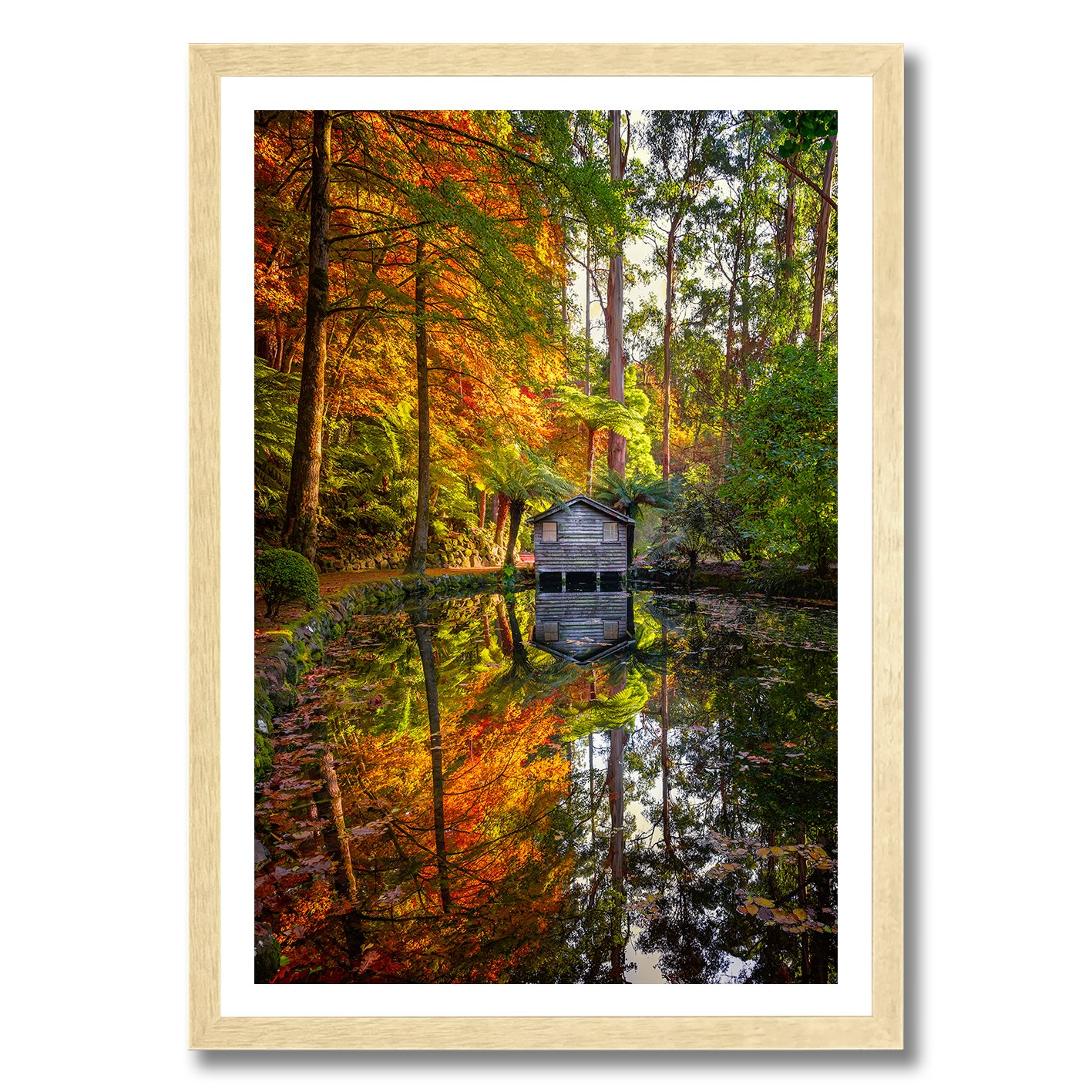 Autumn garden photograph with boathouse, colourful forest and mirrored pond reflection