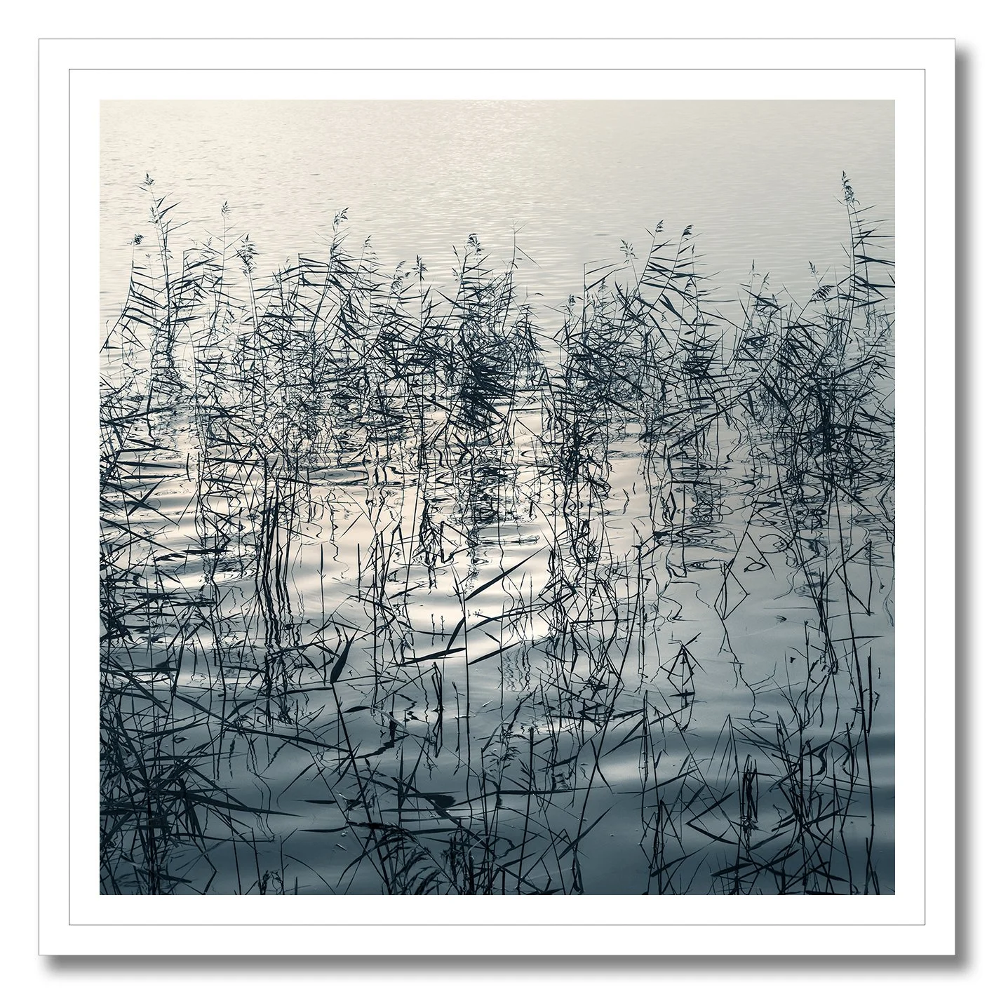 Fine art photograph of reeds and reflections creating abstract patterns on still water