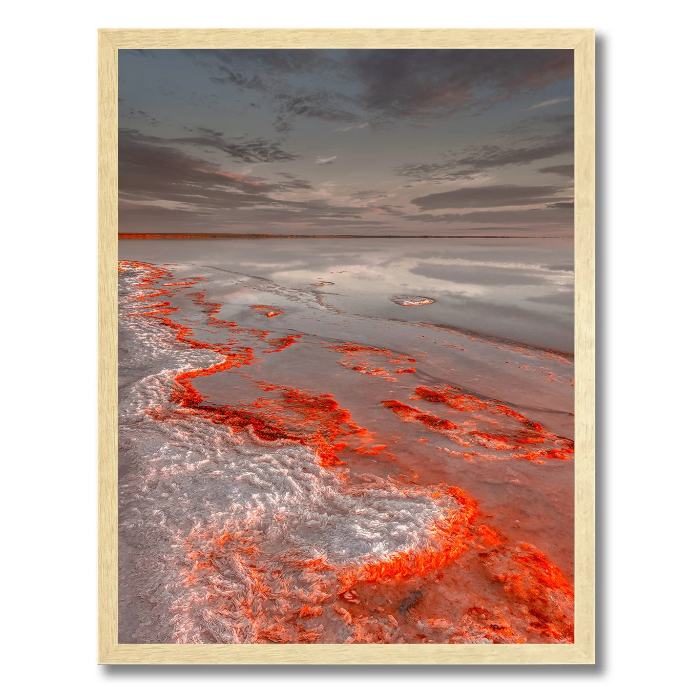 Salt formations glowing red along the reflective shoreline of Lake Tyrrell