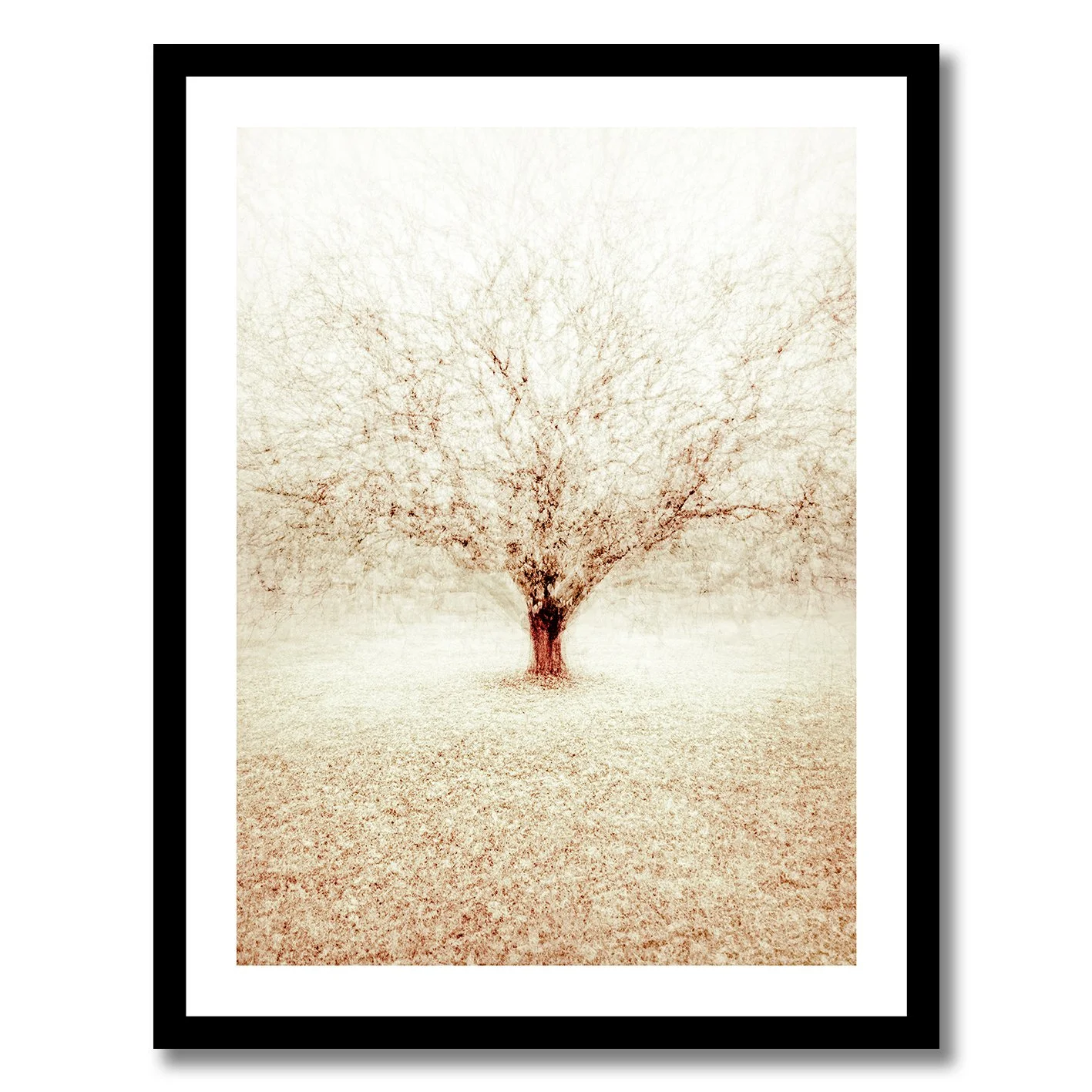 Fine art photograph of a solitary winter tree with layered branches in soft atmospheric tones