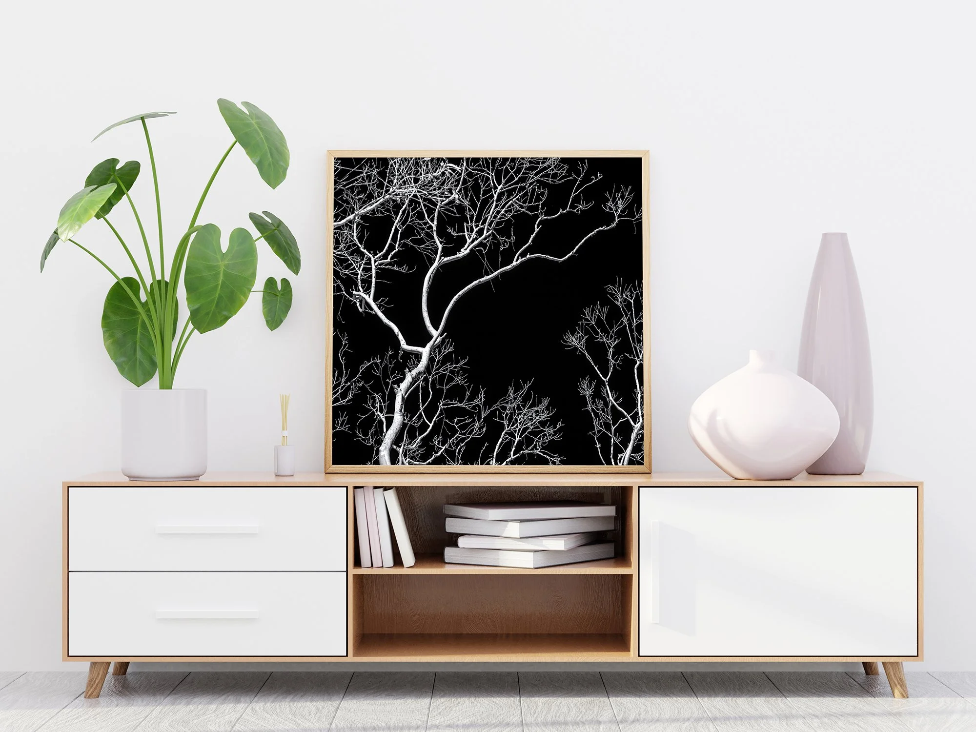 Black and white photograph of bare tree branches against a deep black background