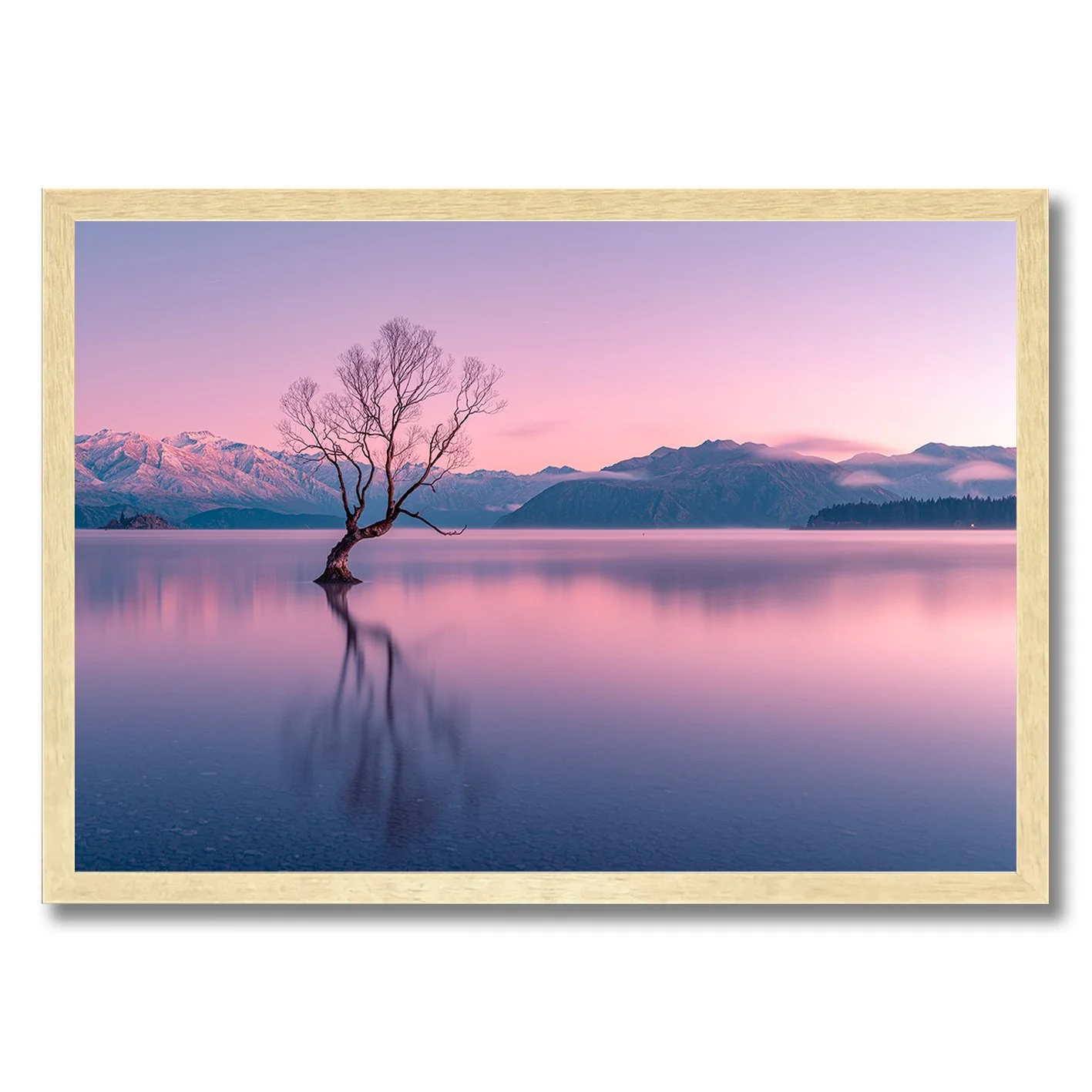 Photograph of the Wanaka tree at dawn with pink sky, calm water and mountain reflections