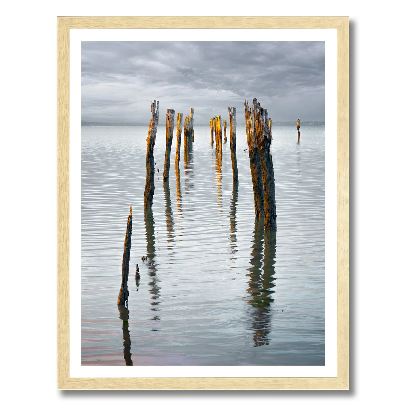 Photograph of old jetty pylons reflecting in calm water at Tenby Point, Victoria