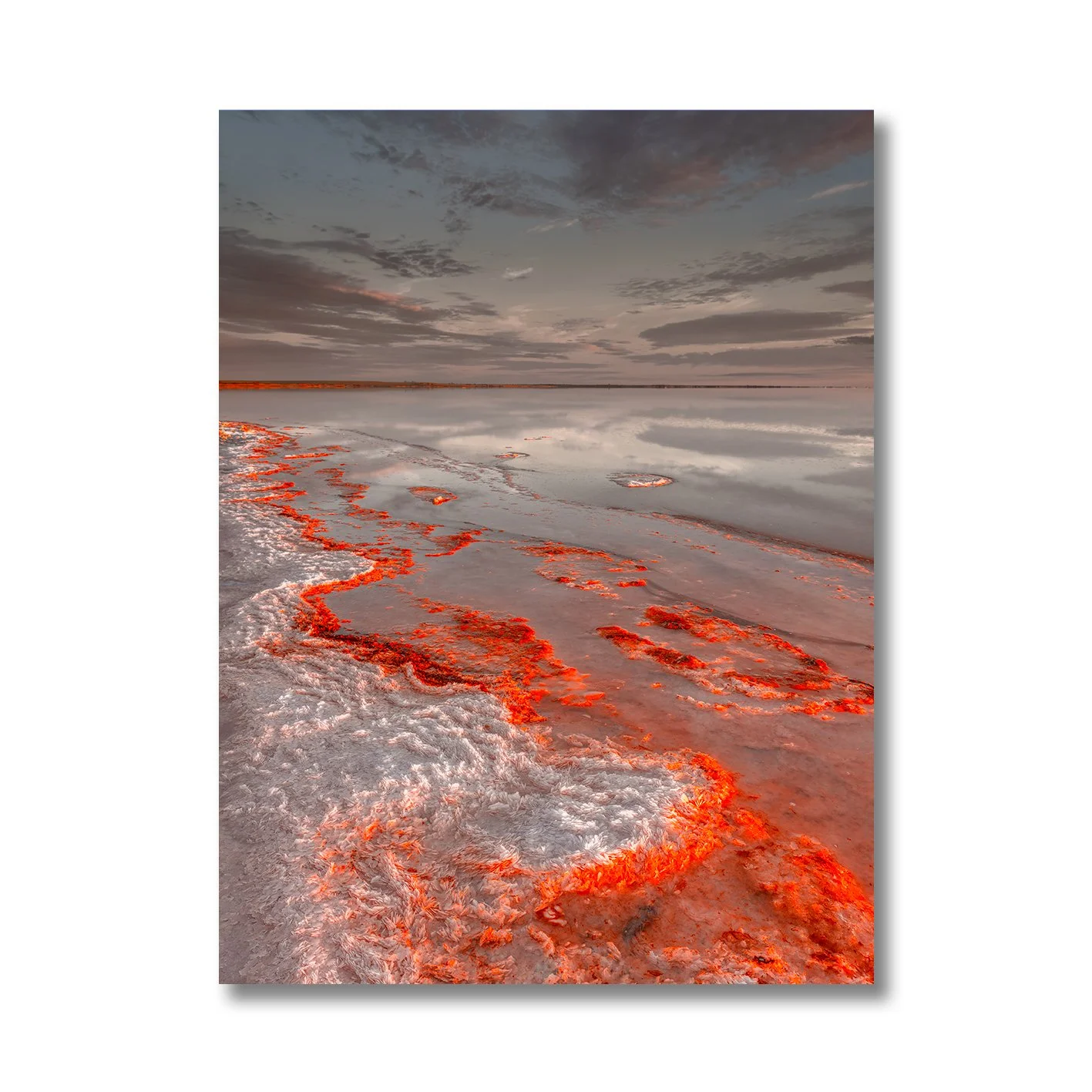 Salt formations glowing red along the reflective shoreline of Lake Tyrrell