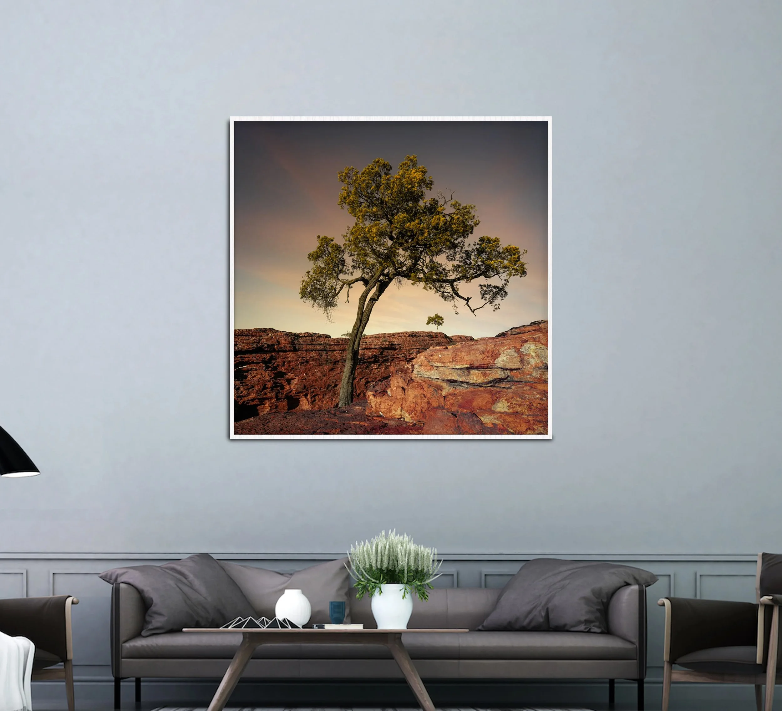 A resilient tree clinging to the edge of Kings Canyon large framed print by NIKART