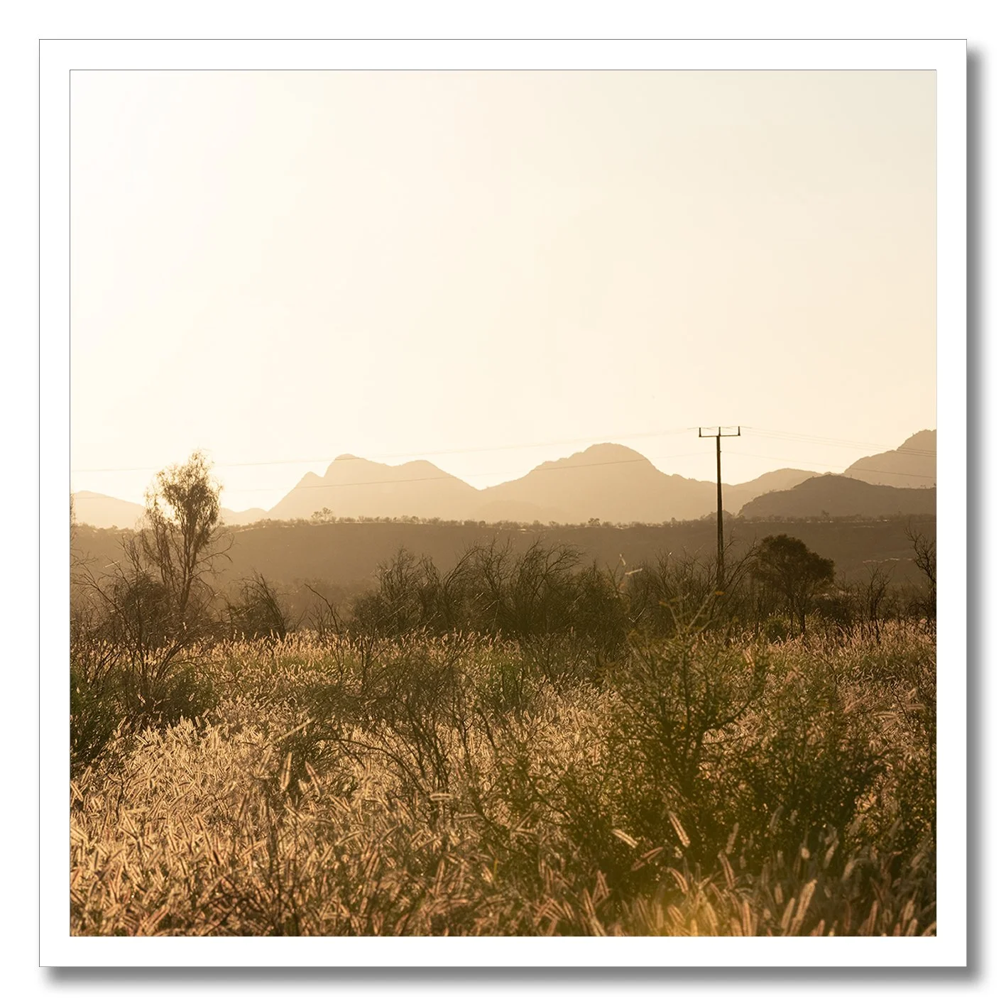 Golden photograph of outback grass plains with mountains and power pole