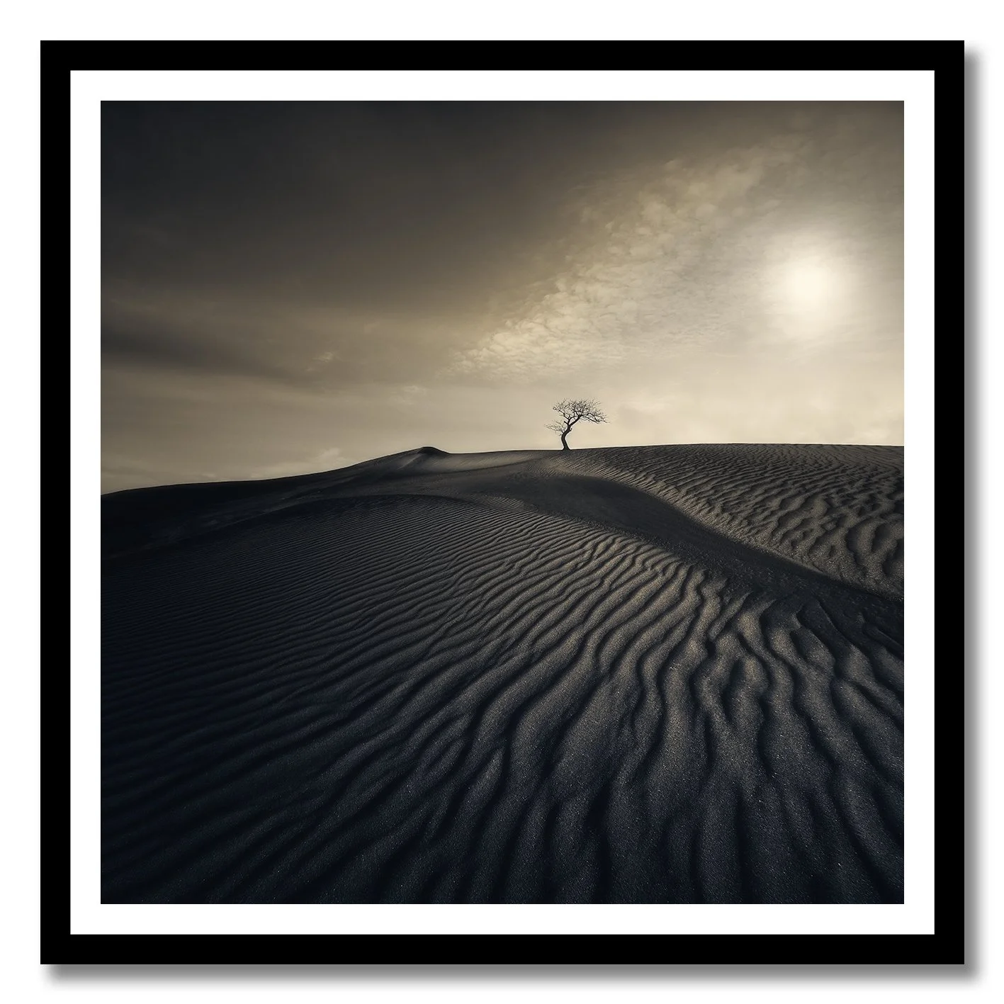 monochrome desert photograph of rippled sand dunes with lone tree