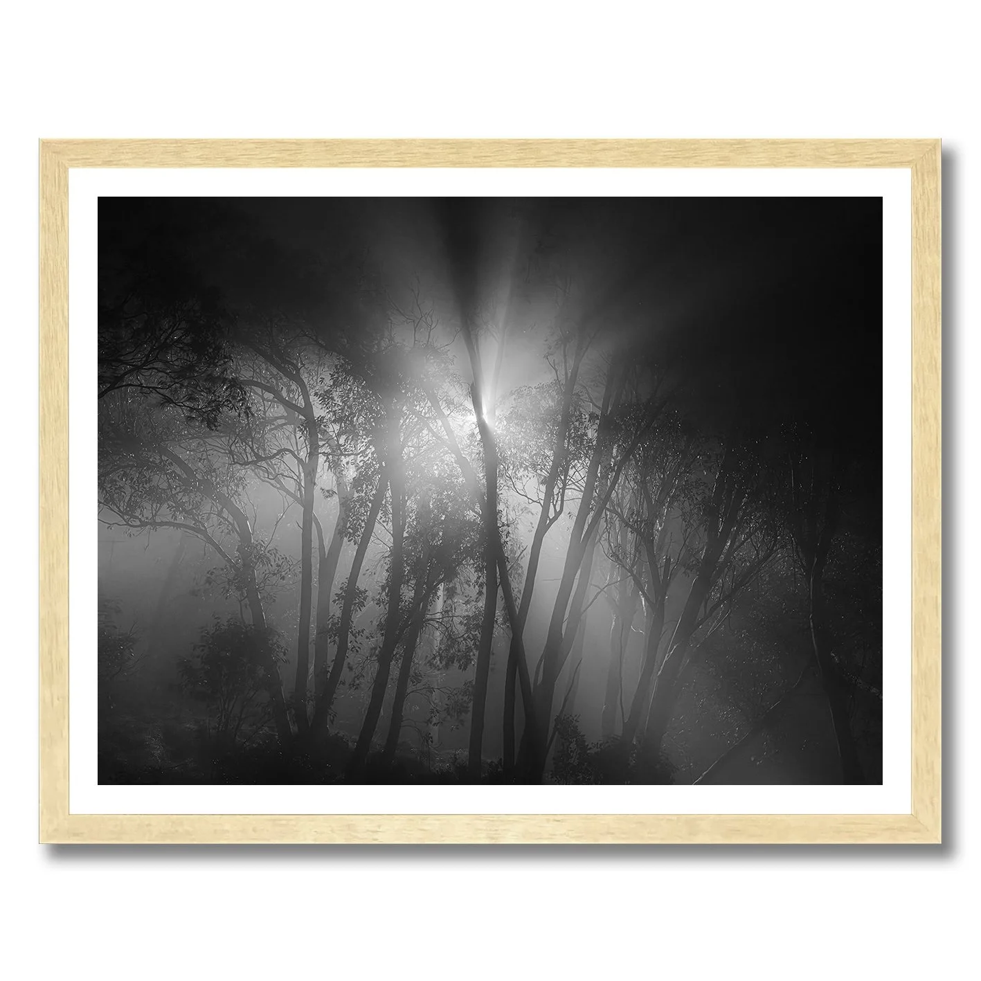 Black and white forest photograph with light beams and mist at night