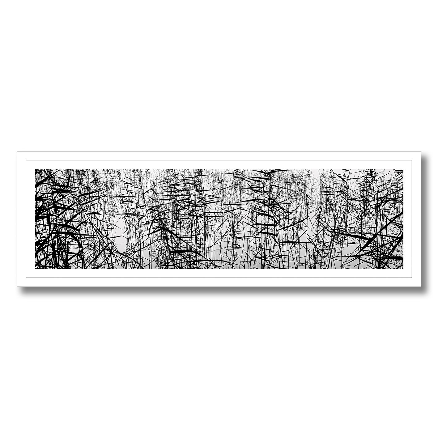 Black and white photograph of tangled reeds reflected across still water.