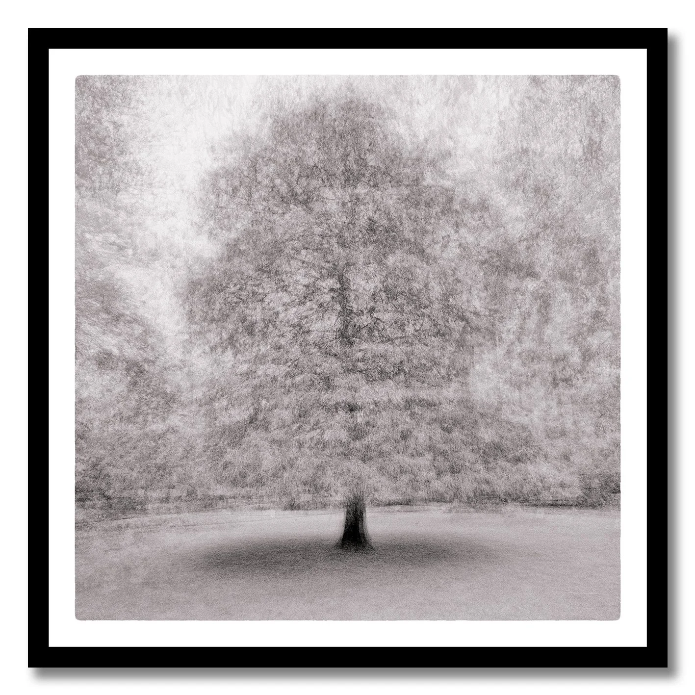 Dreamlike monochrome photograph of a solitary tree with soft layered movement