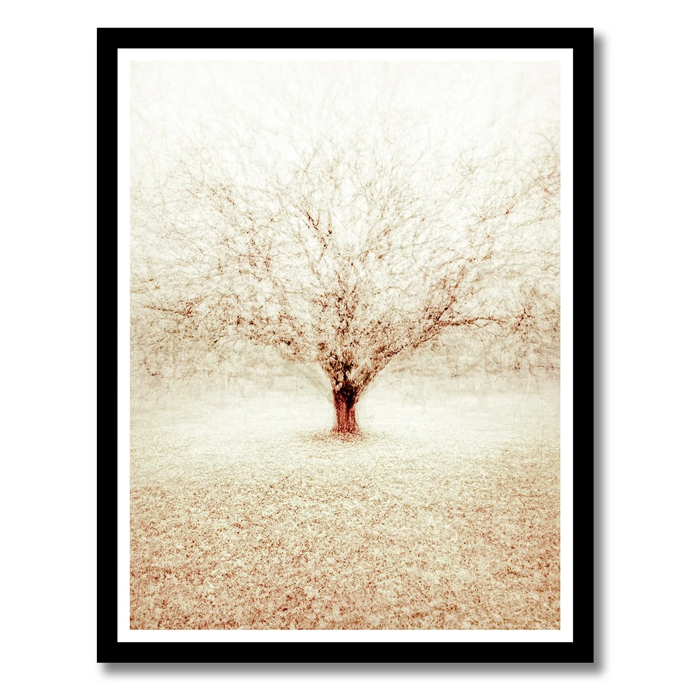 Fine art photograph of a solitary winter tree with layered branches in soft atmospheric tones