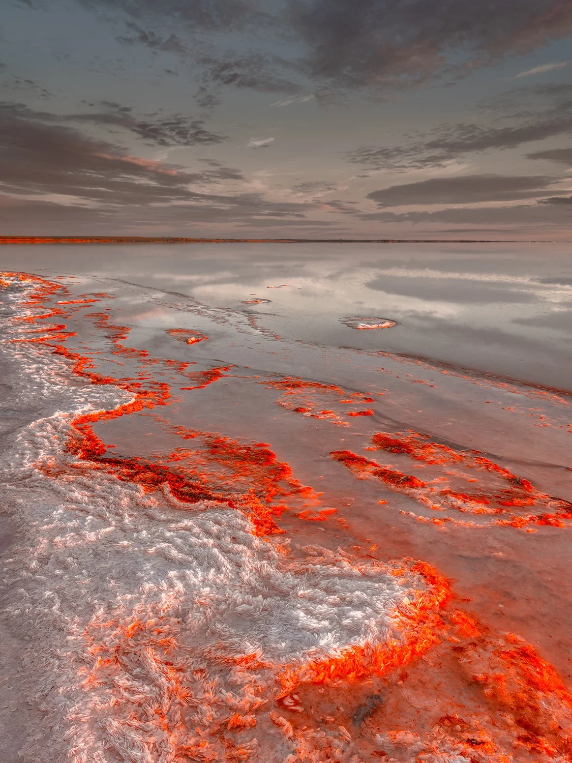 Salt lake shoreline with red algae and crystal formations, Lake Tyrrell landscape photograph