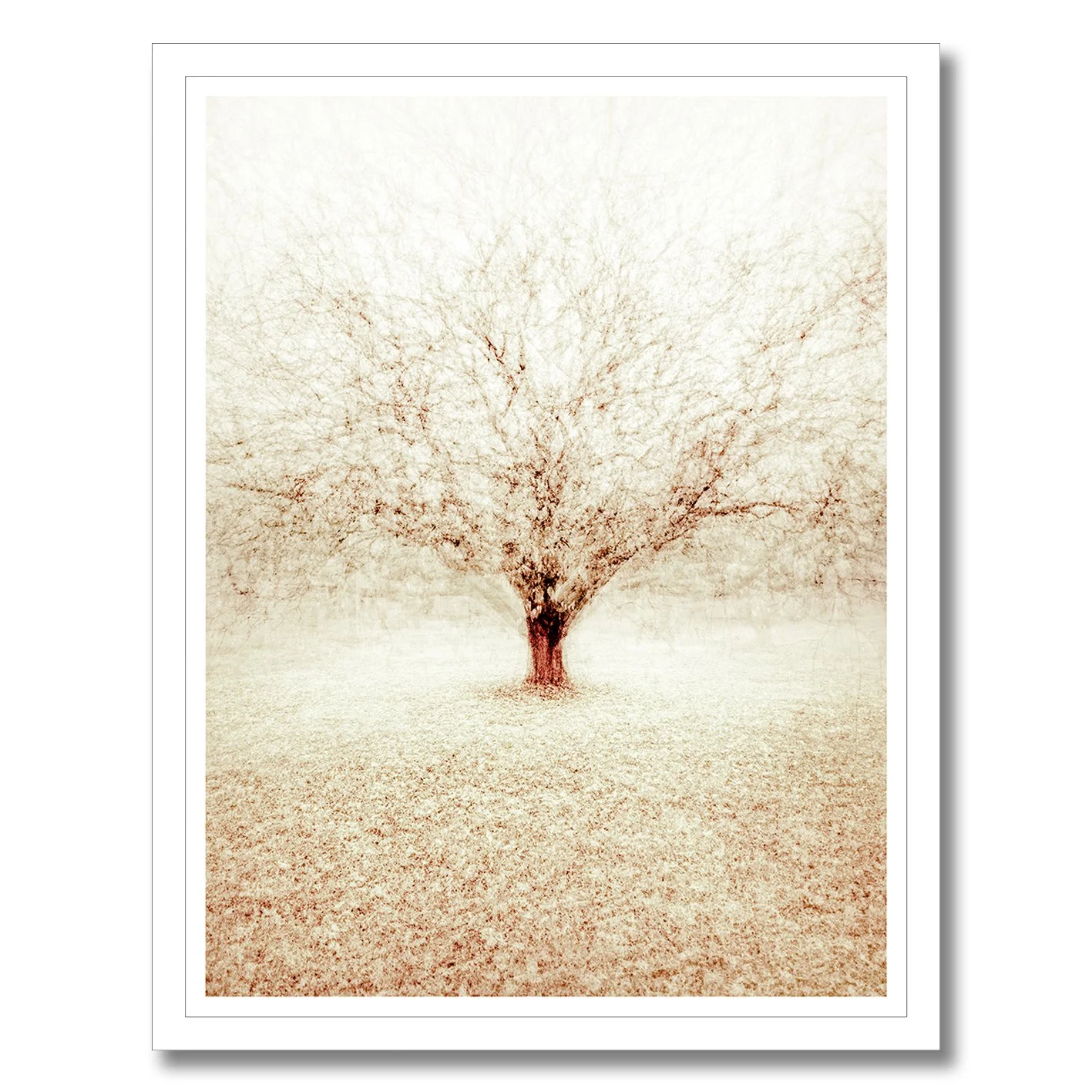Fine art photograph of a solitary winter tree with layered branches in soft atmospheric tones