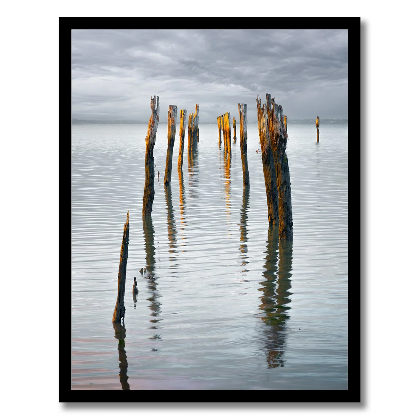 Photograph of old jetty pylons reflecting in calm water at Tenby Point, Victoria