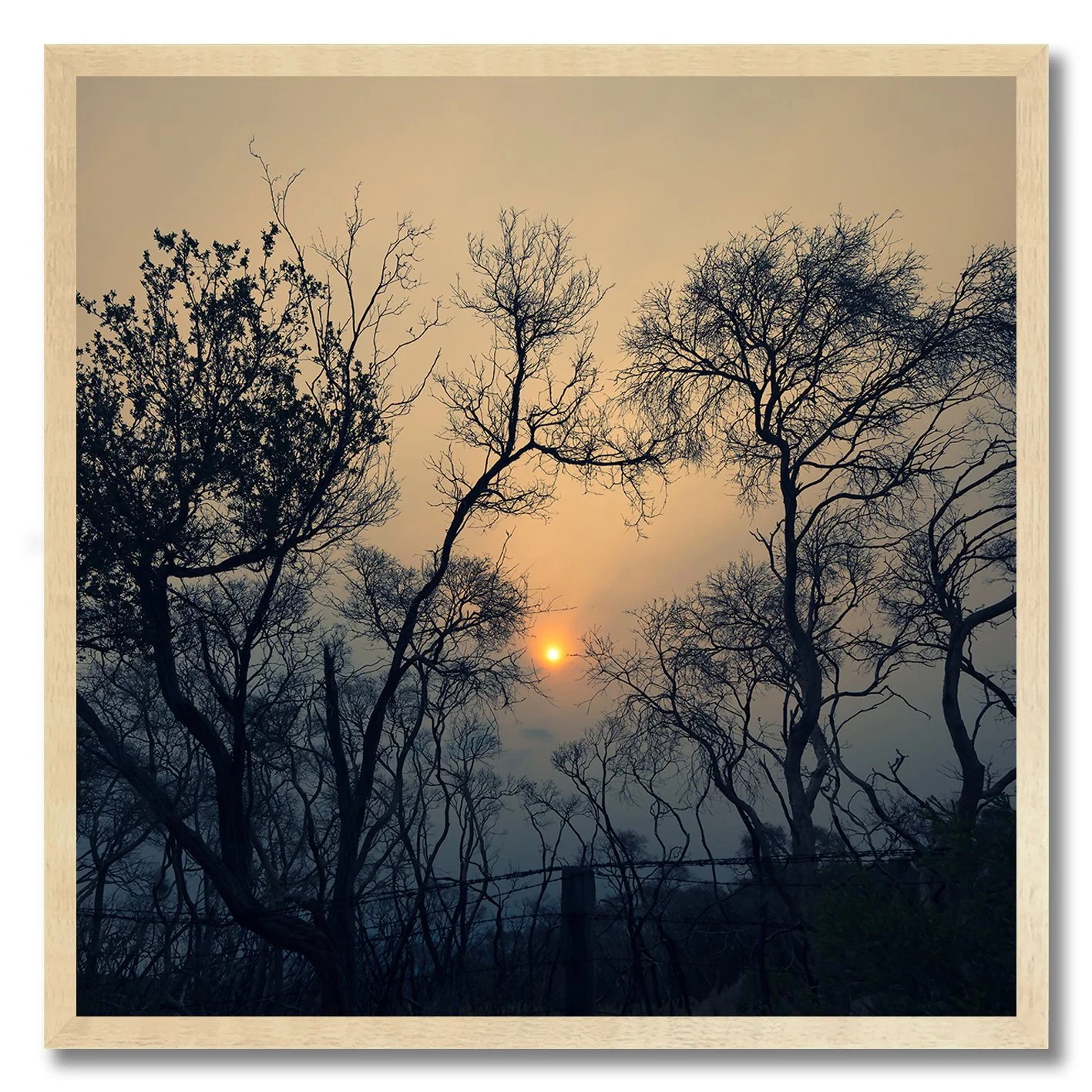 sun glowing through smoke and trees at point nepean national park