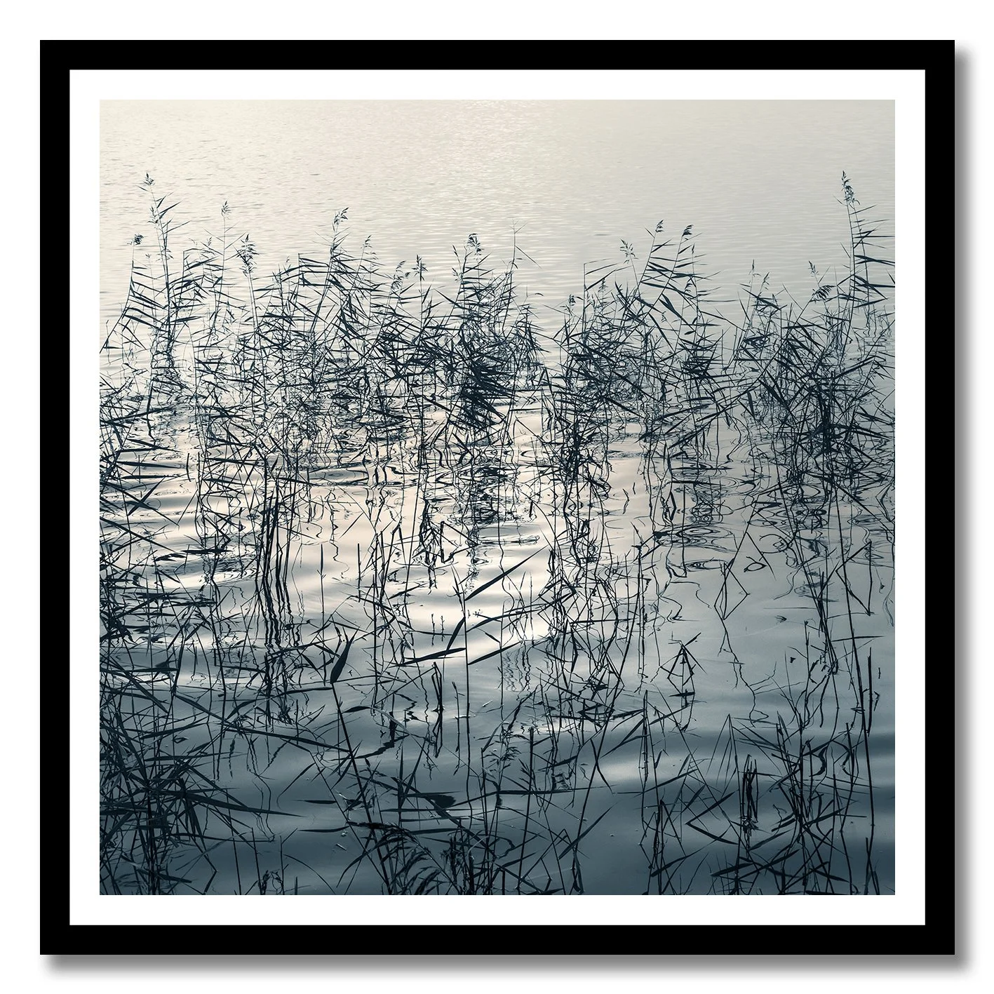 Fine art photograph of reeds and reflections creating abstract patterns on still water
