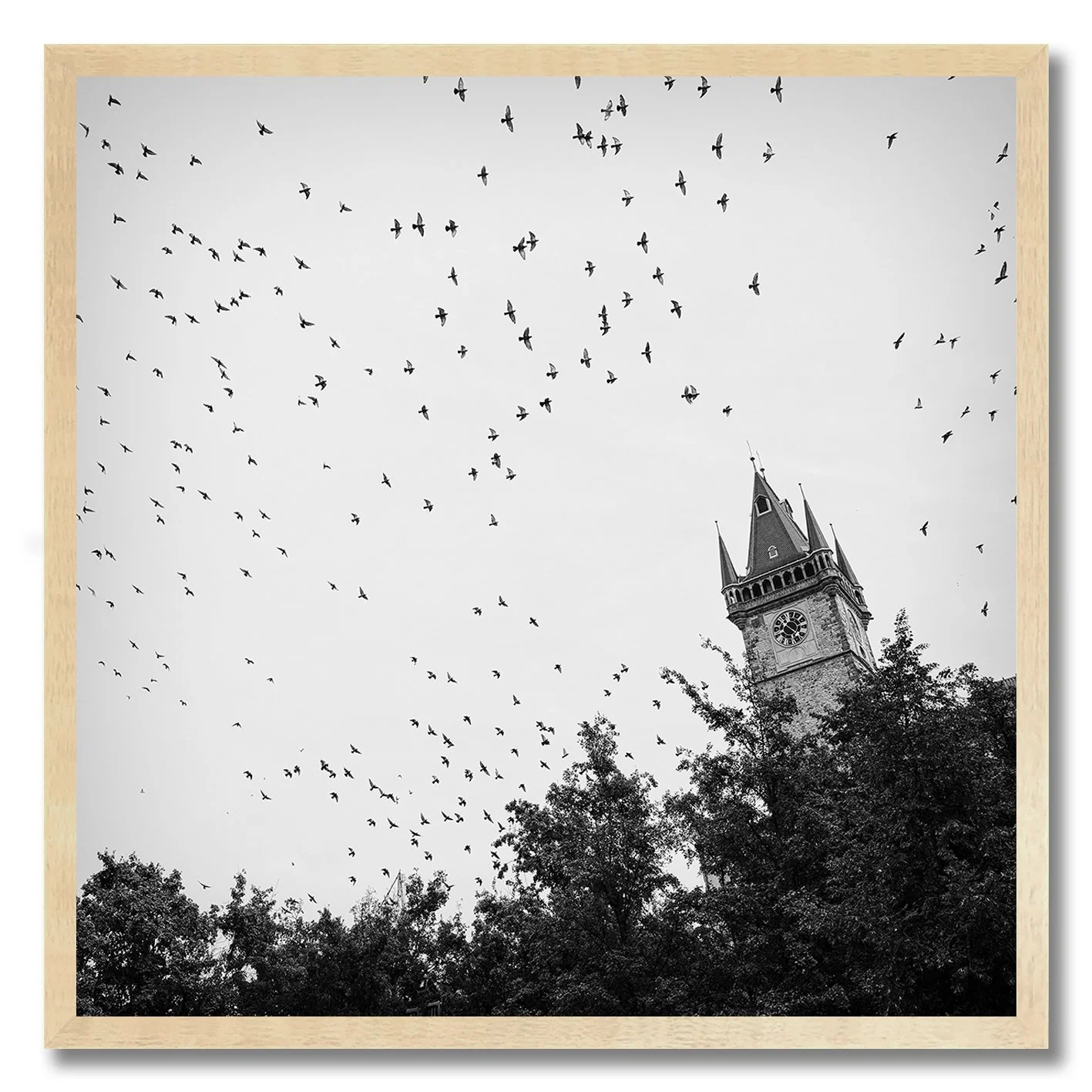 black and white photograph of birds flying over prague orloj clock tower
