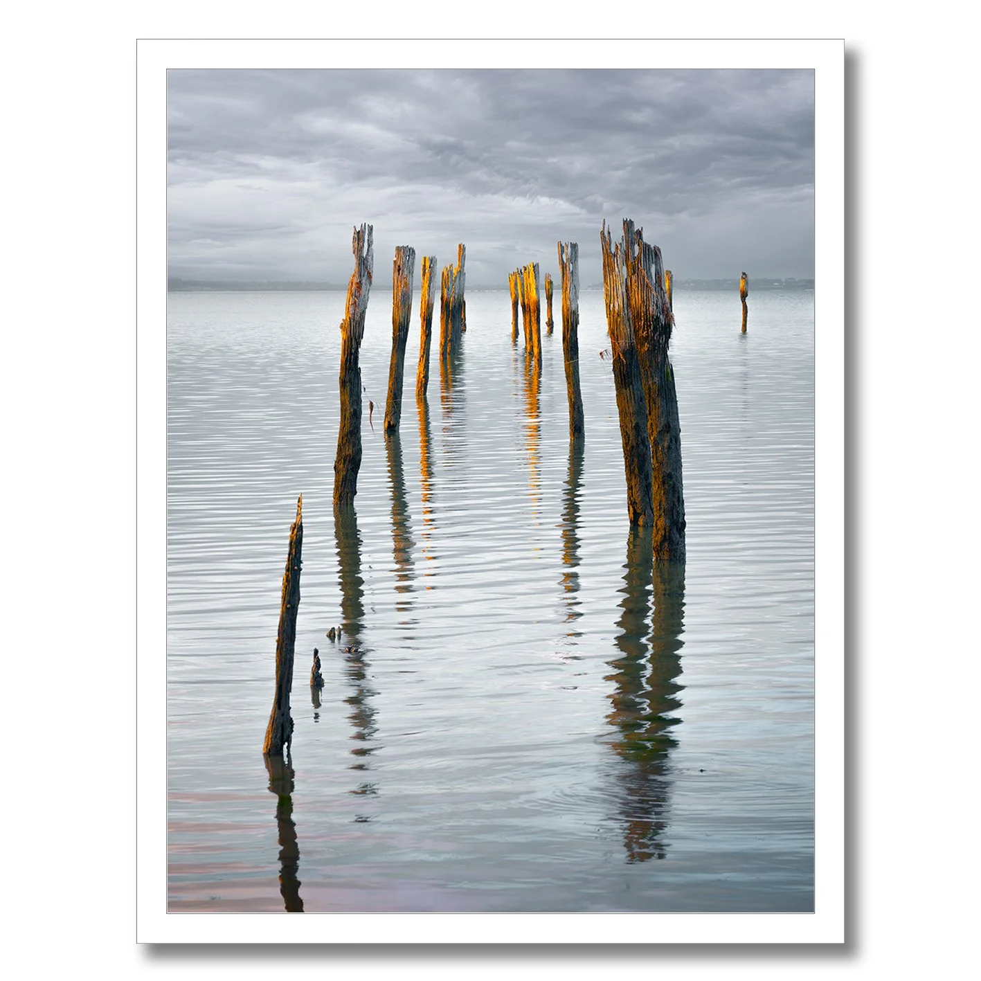Photograph of old jetty pylons reflecting in calm water at Tenby Point, Victoria