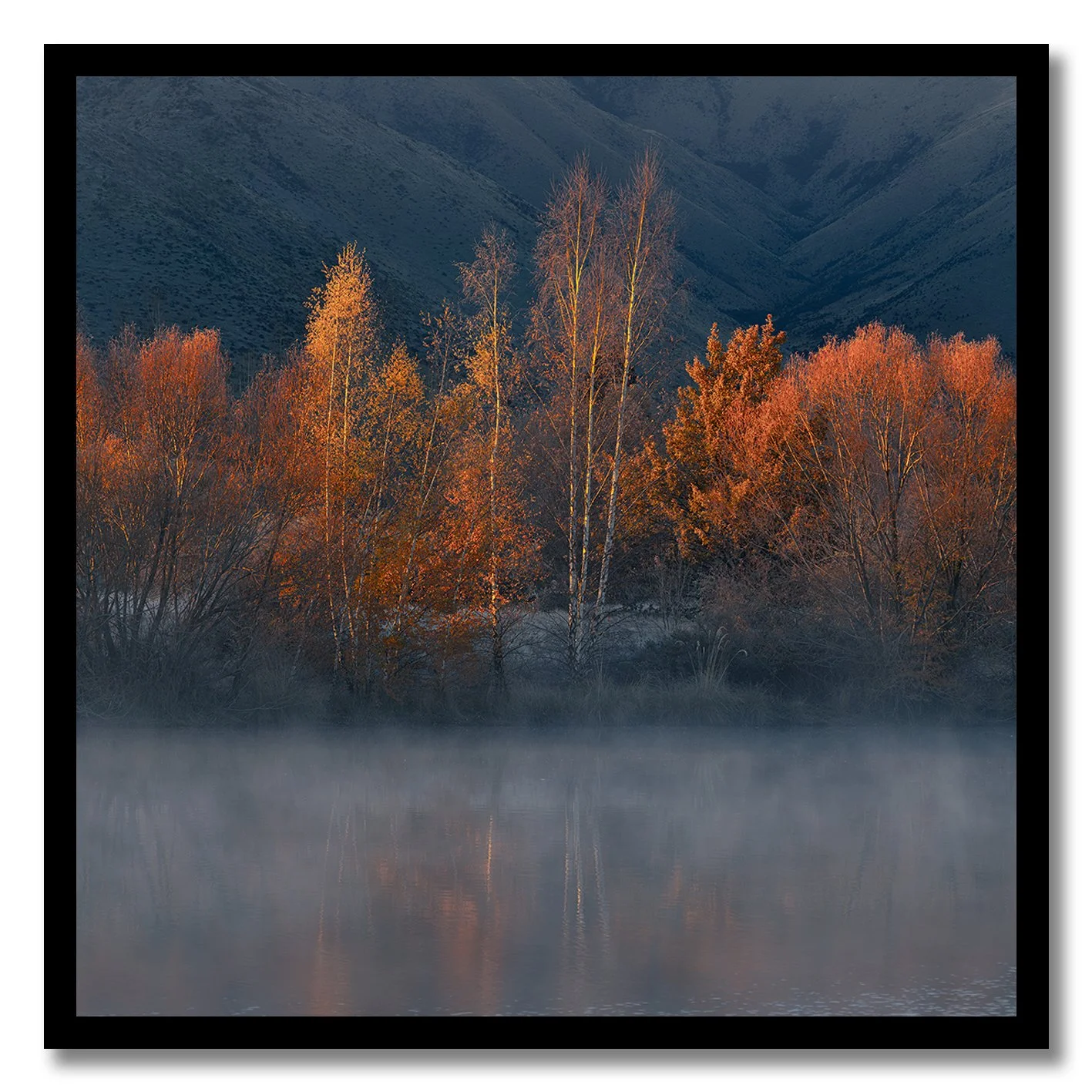 autumn trees reflected in misty lake in mackenzie country south island new zealand