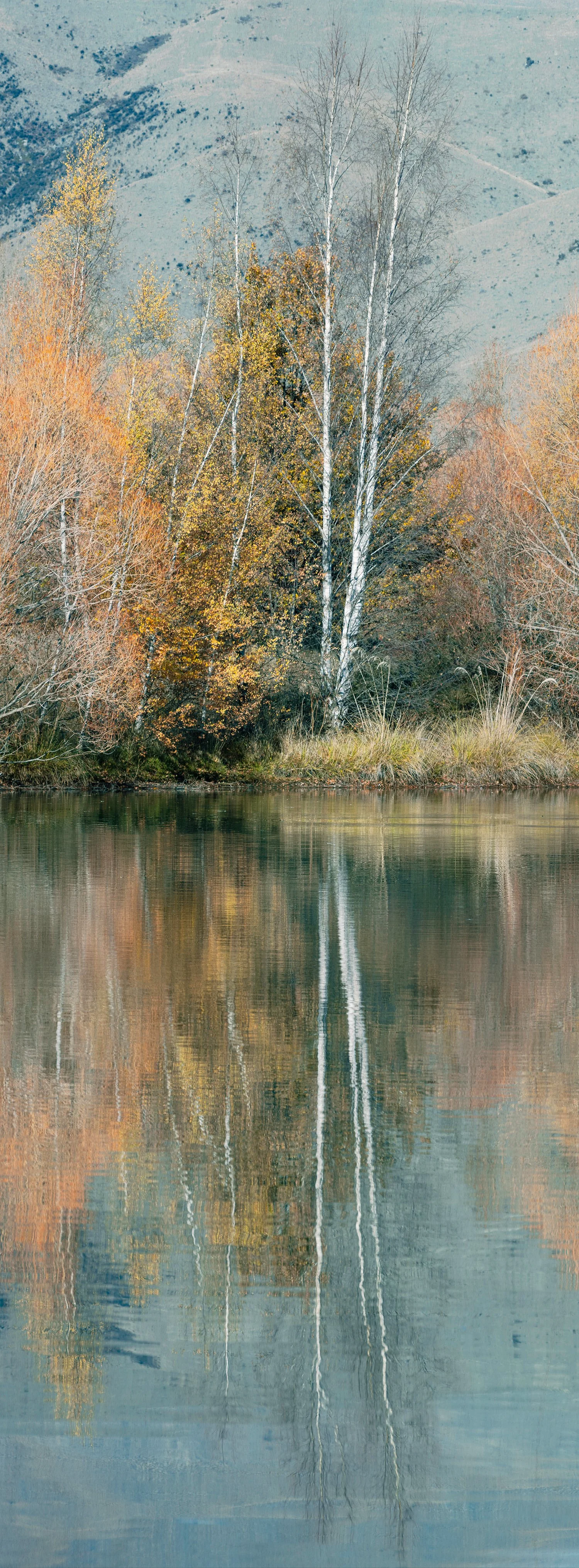 Autumn trees reflected in calm lake, Twizel New Zealand landscape photograph