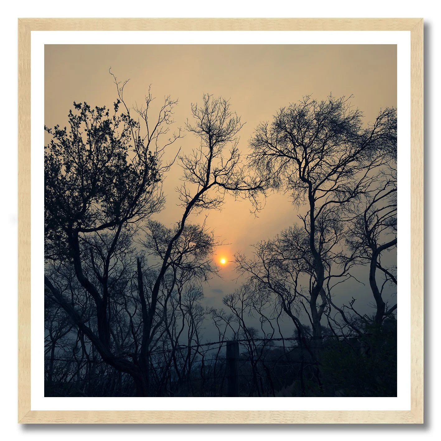 sun glowing through smoke and trees at point nepean national park