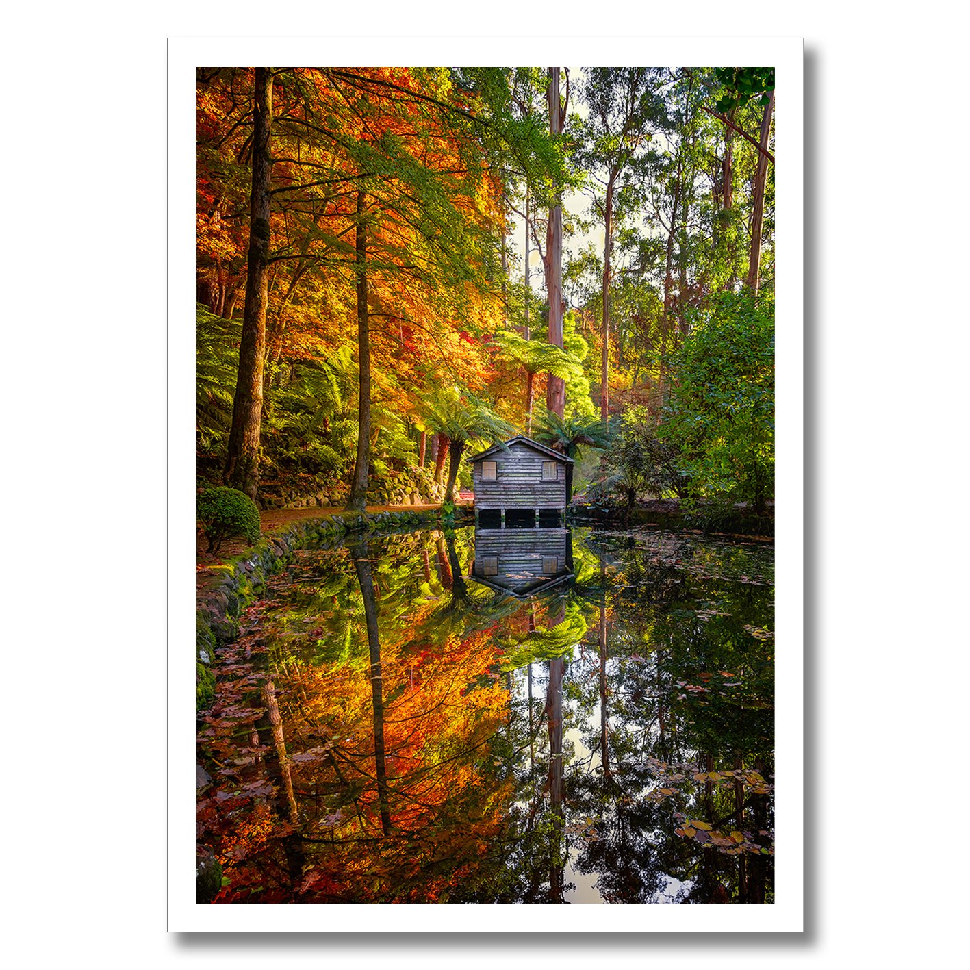 Autumn garden photograph with boathouse, colourful forest and mirrored pond reflection