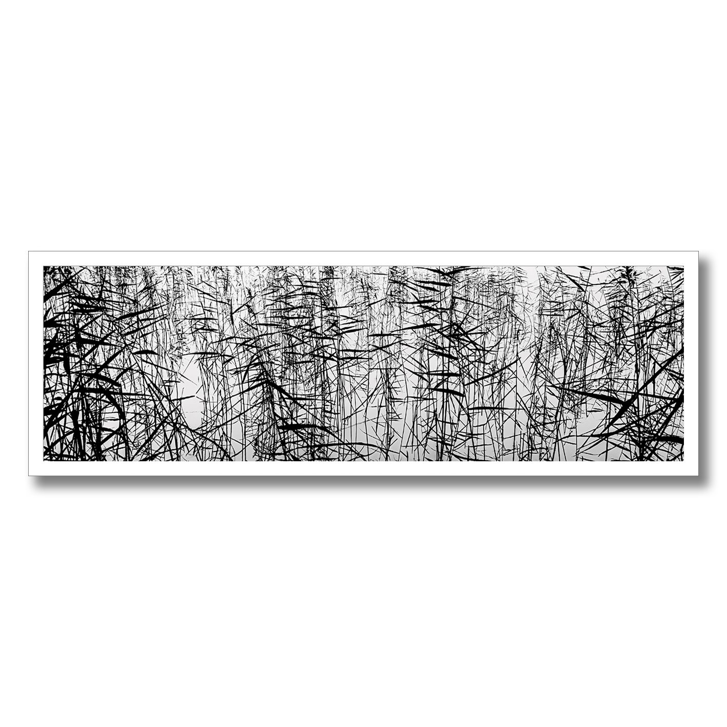 Black and white photograph of tangled reeds reflected across still water.