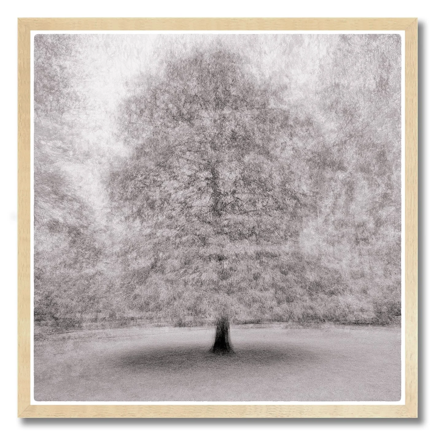 Dreamlike monochrome photograph of a solitary tree with soft layered movement
