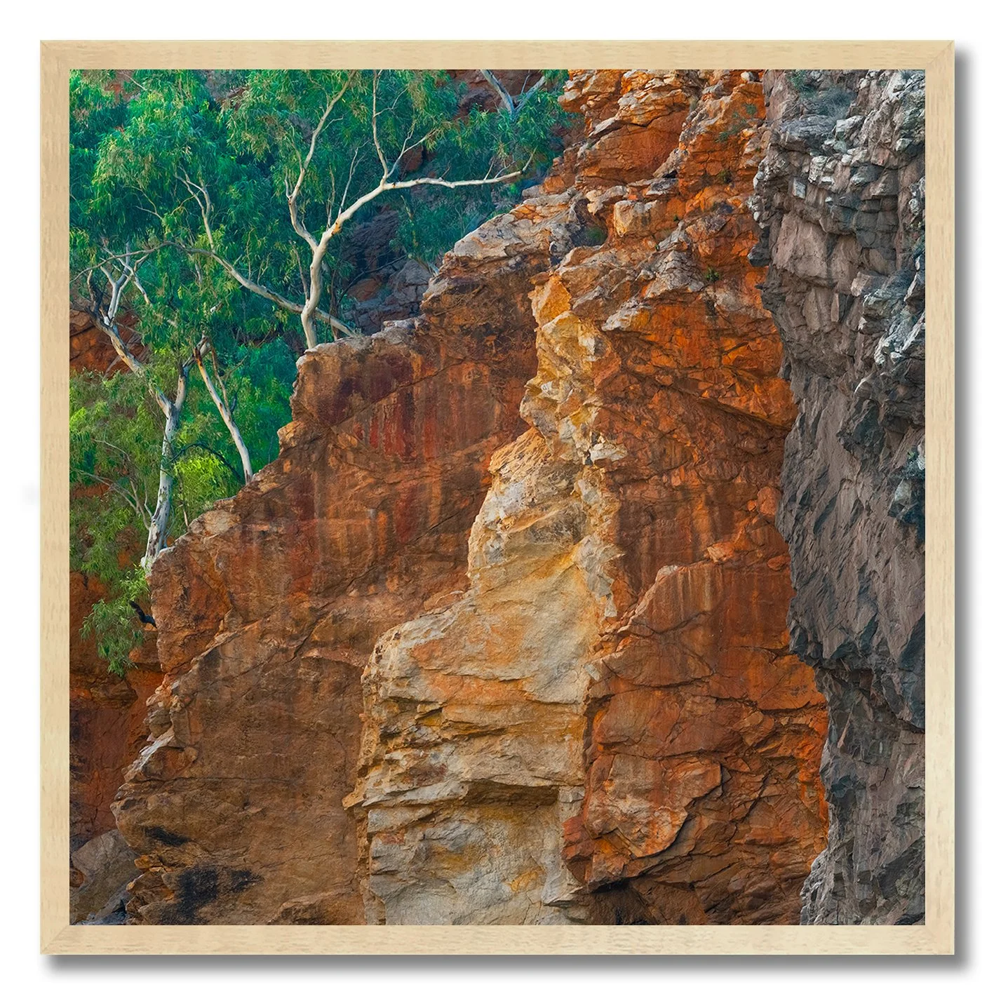 australian landscape photograph of red cliffs and gum trees in west macdonnell ranges