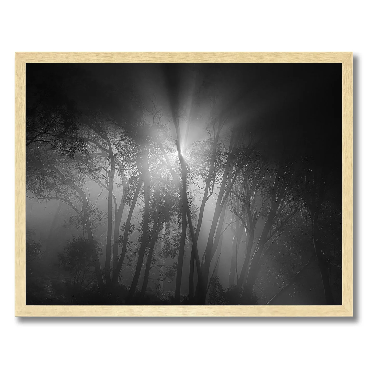 Black and white forest photograph with light beams and mist at night