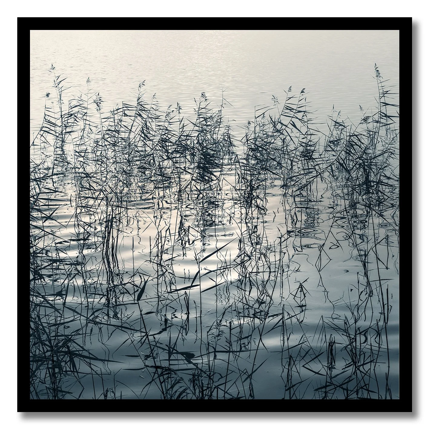 Fine art photograph of reeds and reflections creating abstract patterns on still water