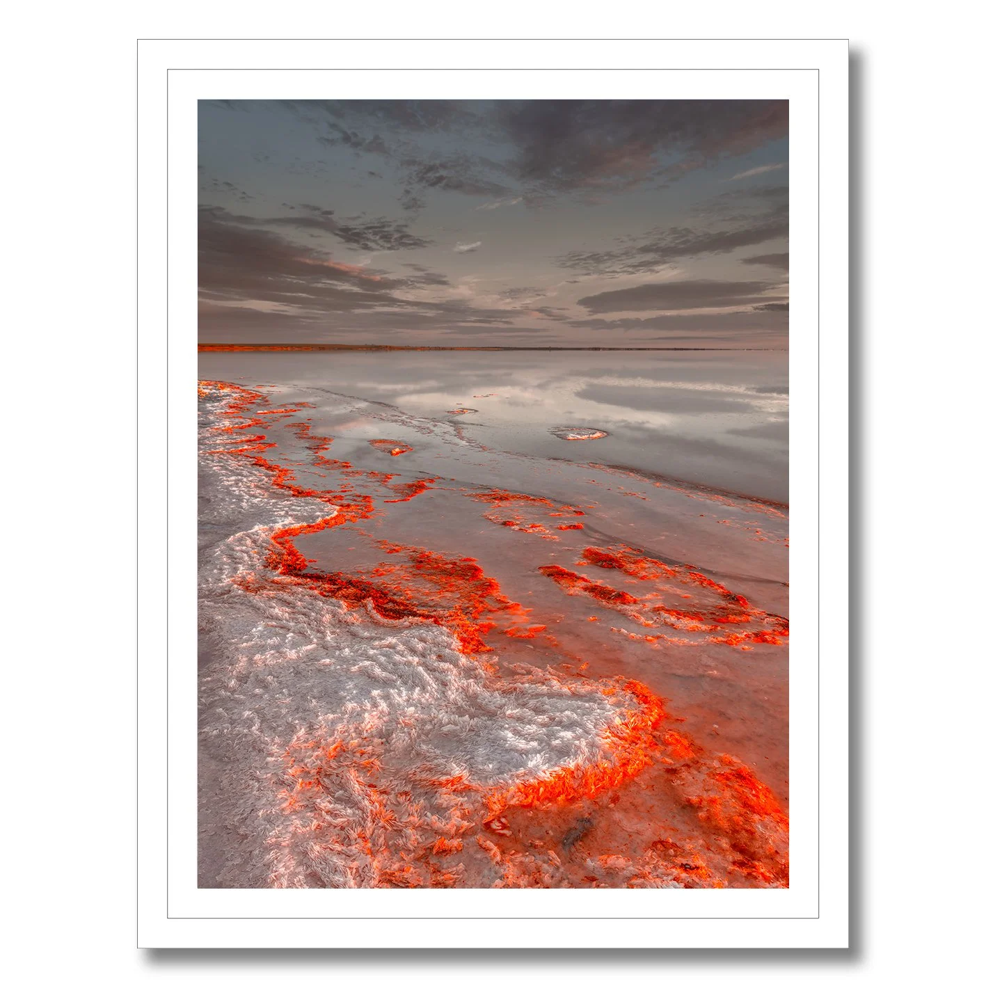 Salt formations glowing red along the reflective shoreline of Lake Tyrrell