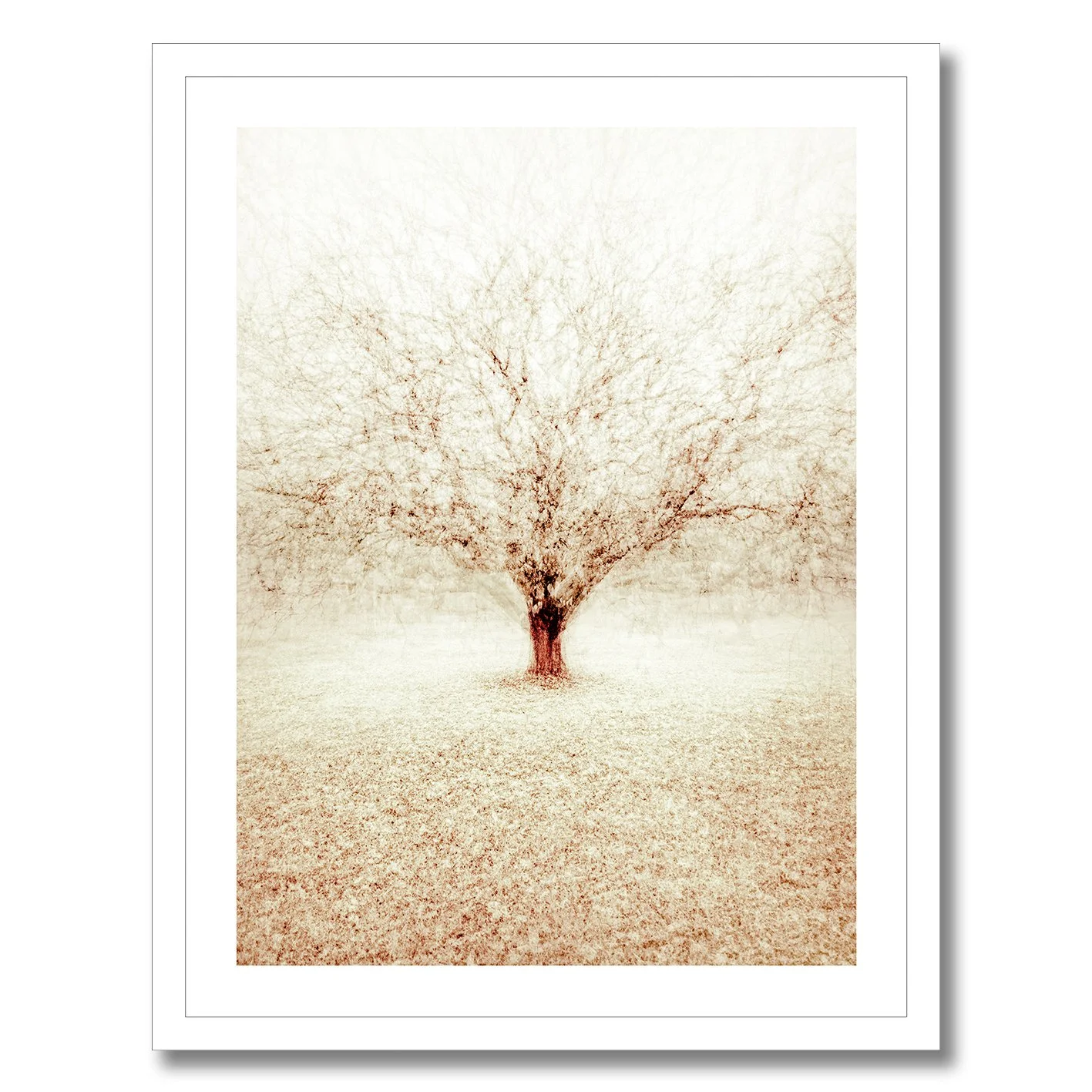 Fine art photograph of a solitary winter tree with layered branches in soft atmospheric tones