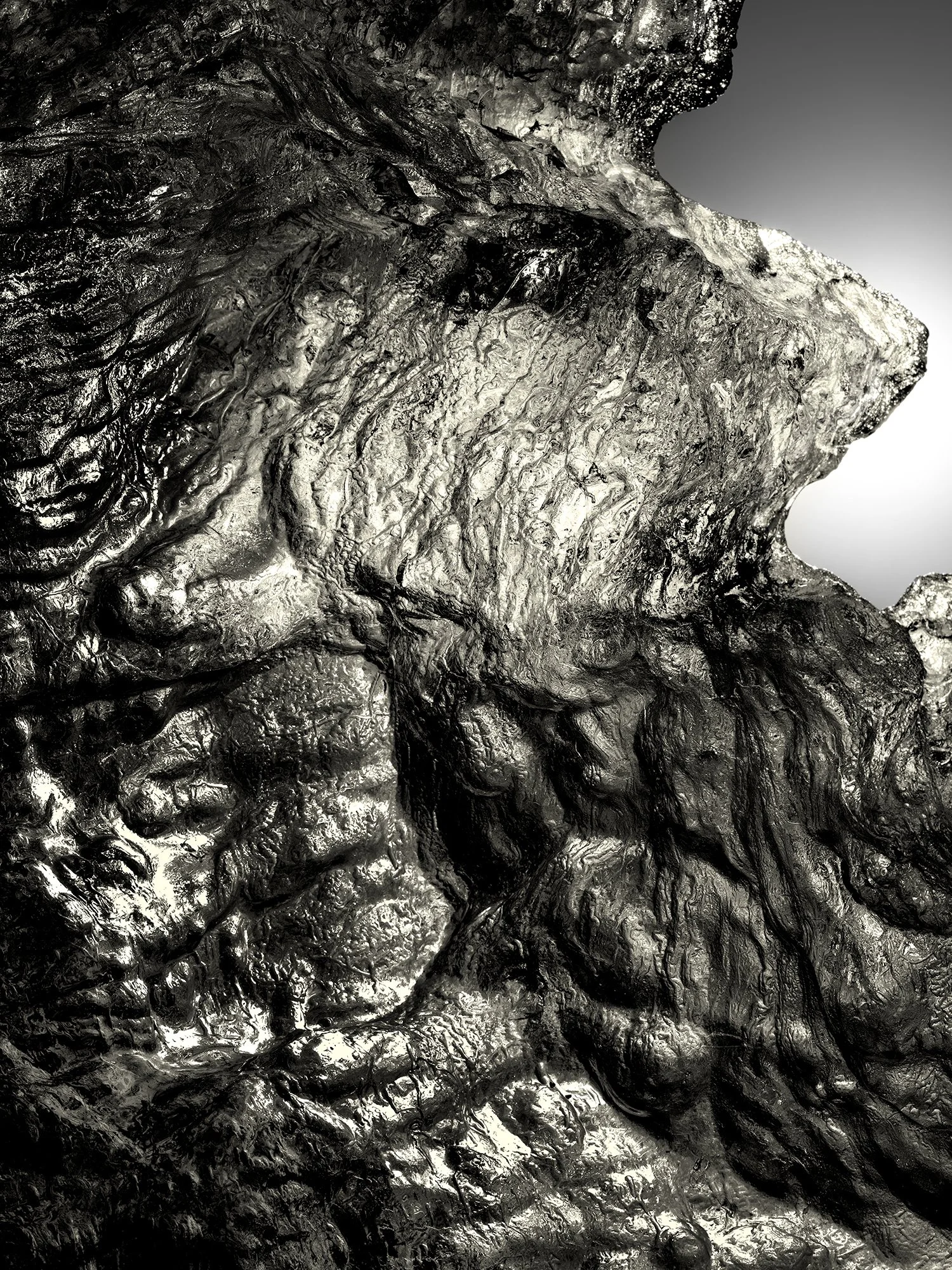 Abstract black and white ice texture resembling lion profile, fine art photograph
