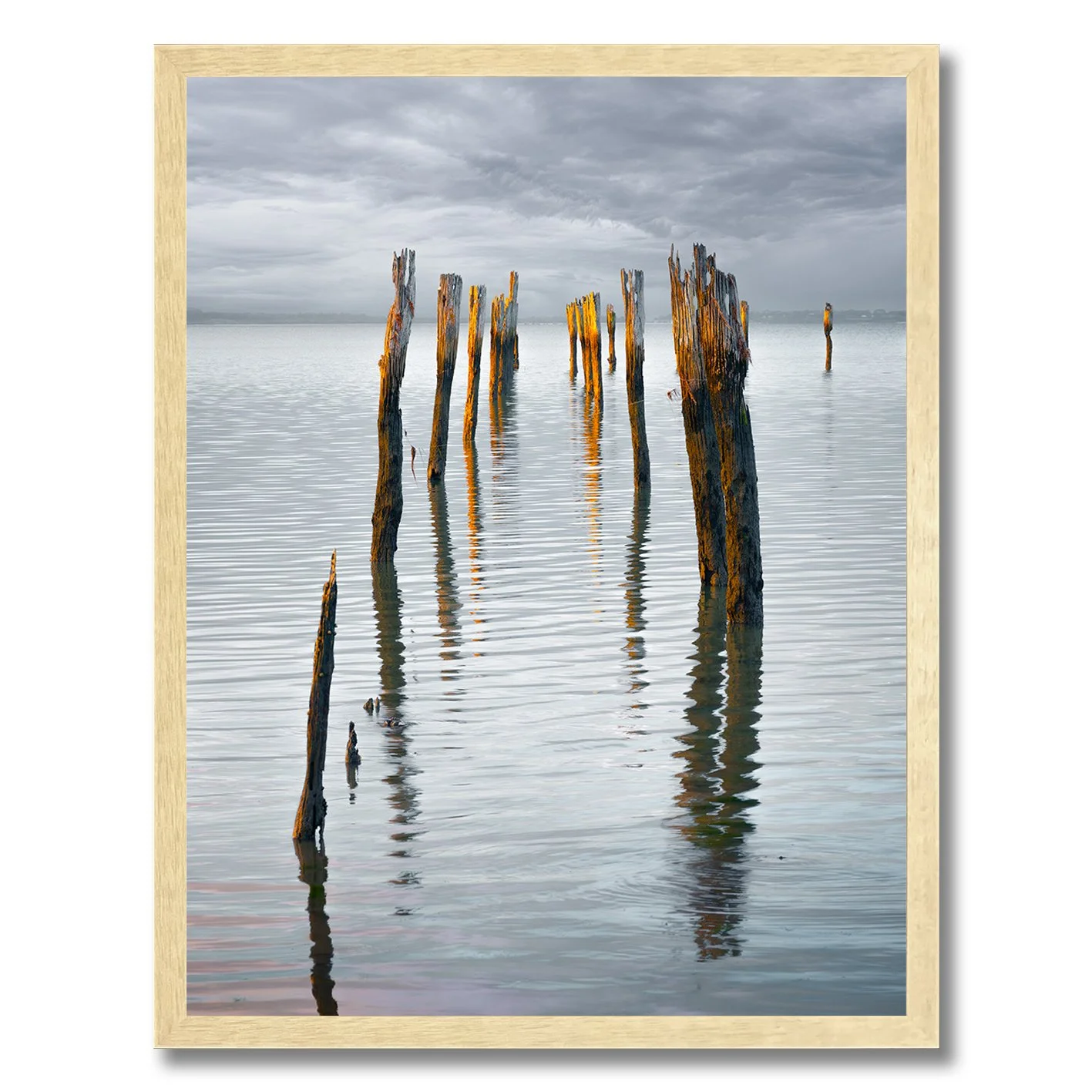 Photograph of old jetty pylons reflecting in calm water at Tenby Point, Victoria