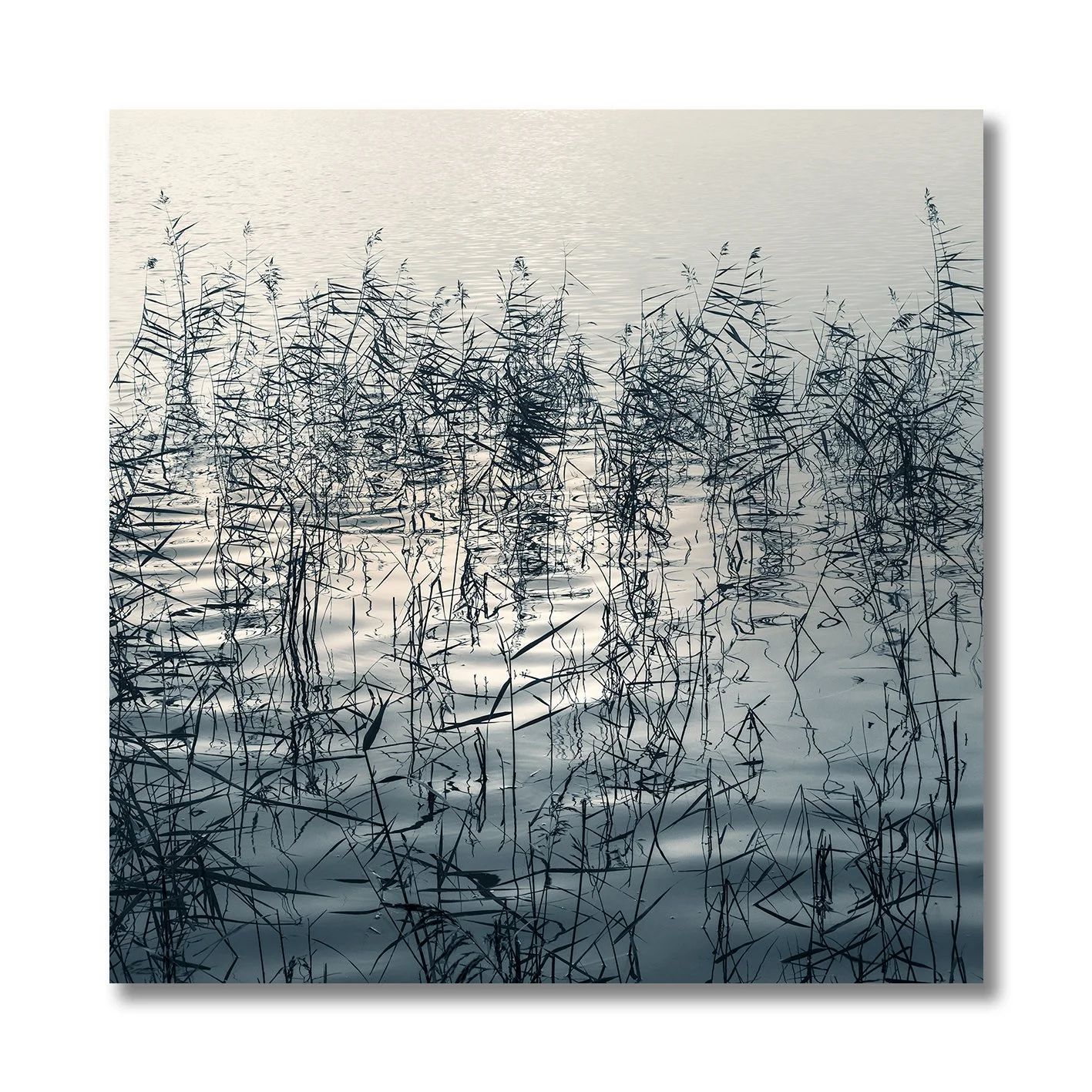 Fine art photograph of reeds and reflections creating abstract patterns on still water