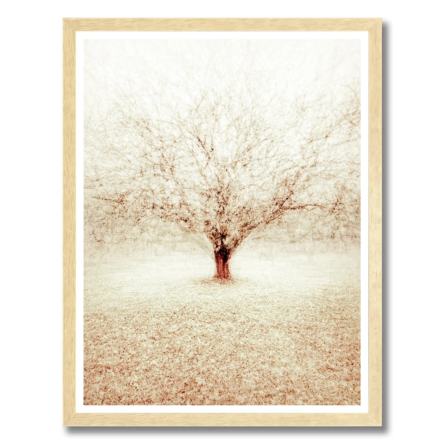Fine art photograph of a solitary winter tree with layered branches in soft atmospheric tones
