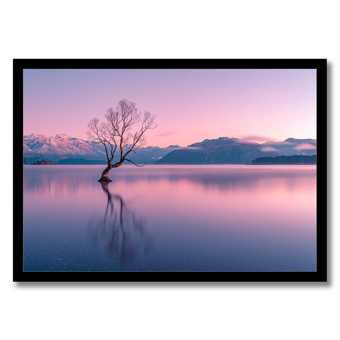 Photograph of the Wanaka tree at dawn with pink sky, calm water and mountain reflections