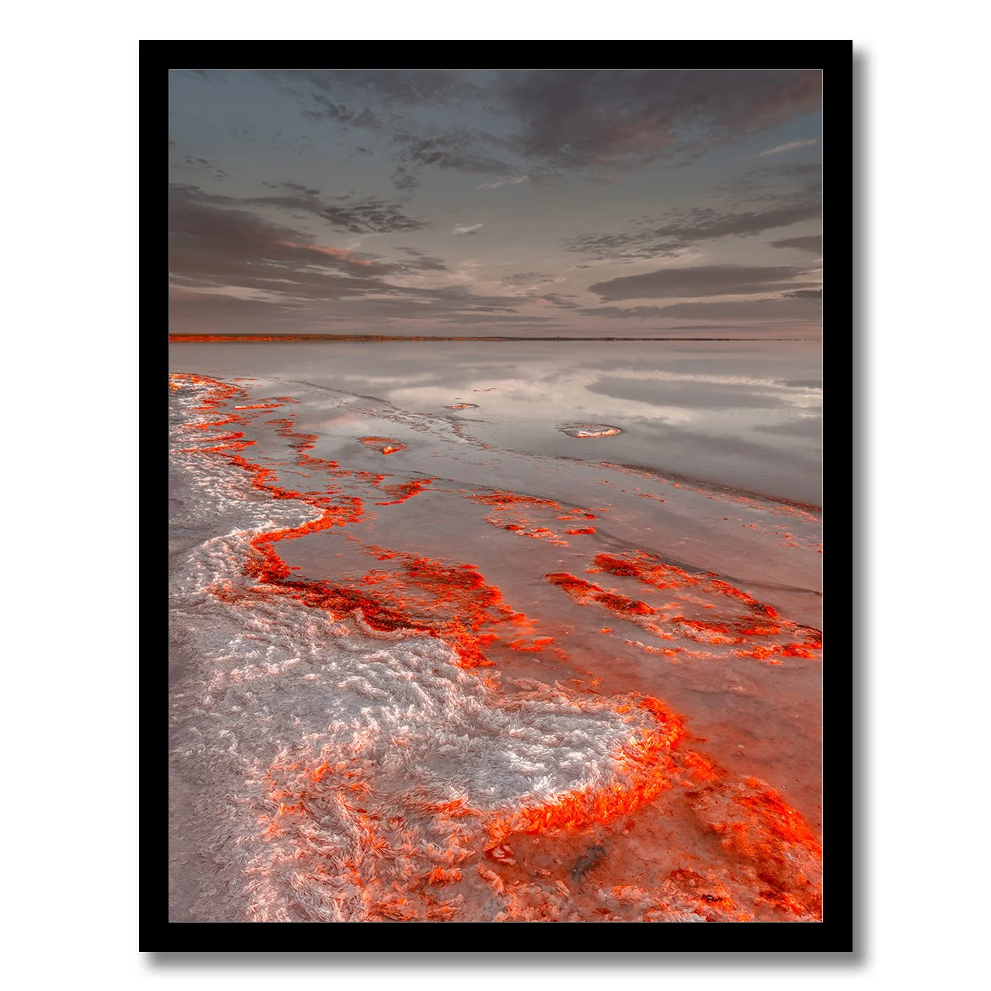 Salt formations glowing red along the reflective shoreline of Lake Tyrrell