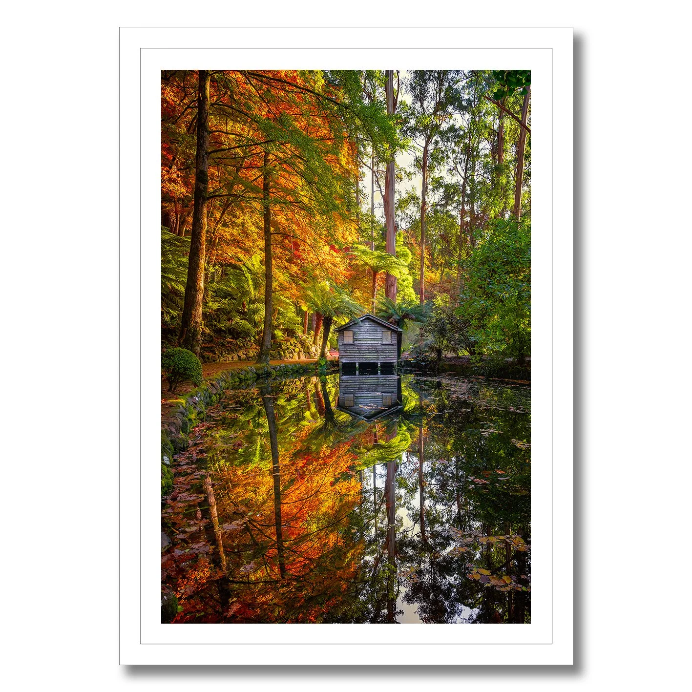 Autumn garden photograph with boathouse, colourful forest and mirrored pond reflection