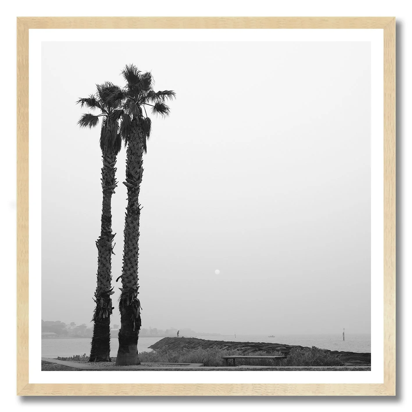 black and white photograph of two palm trees on hazy williamstown coastline