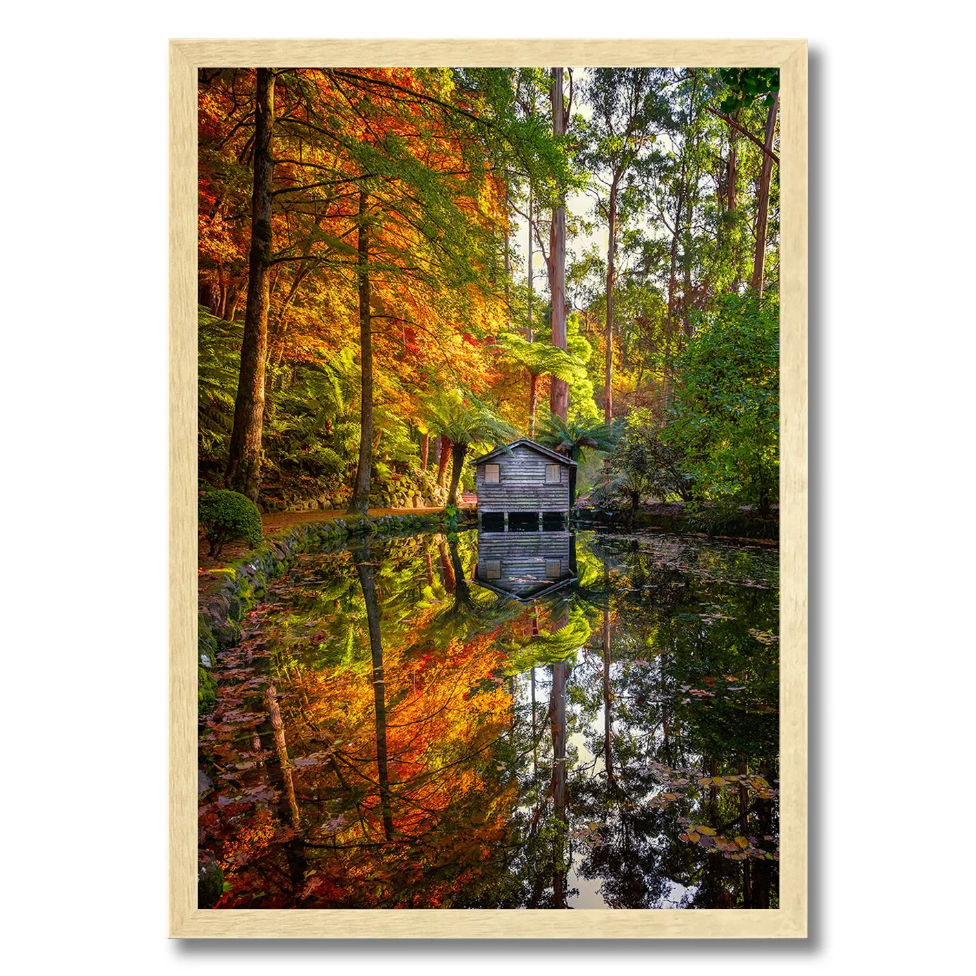 Autumn garden photograph with boathouse, colourful forest and mirrored pond reflection