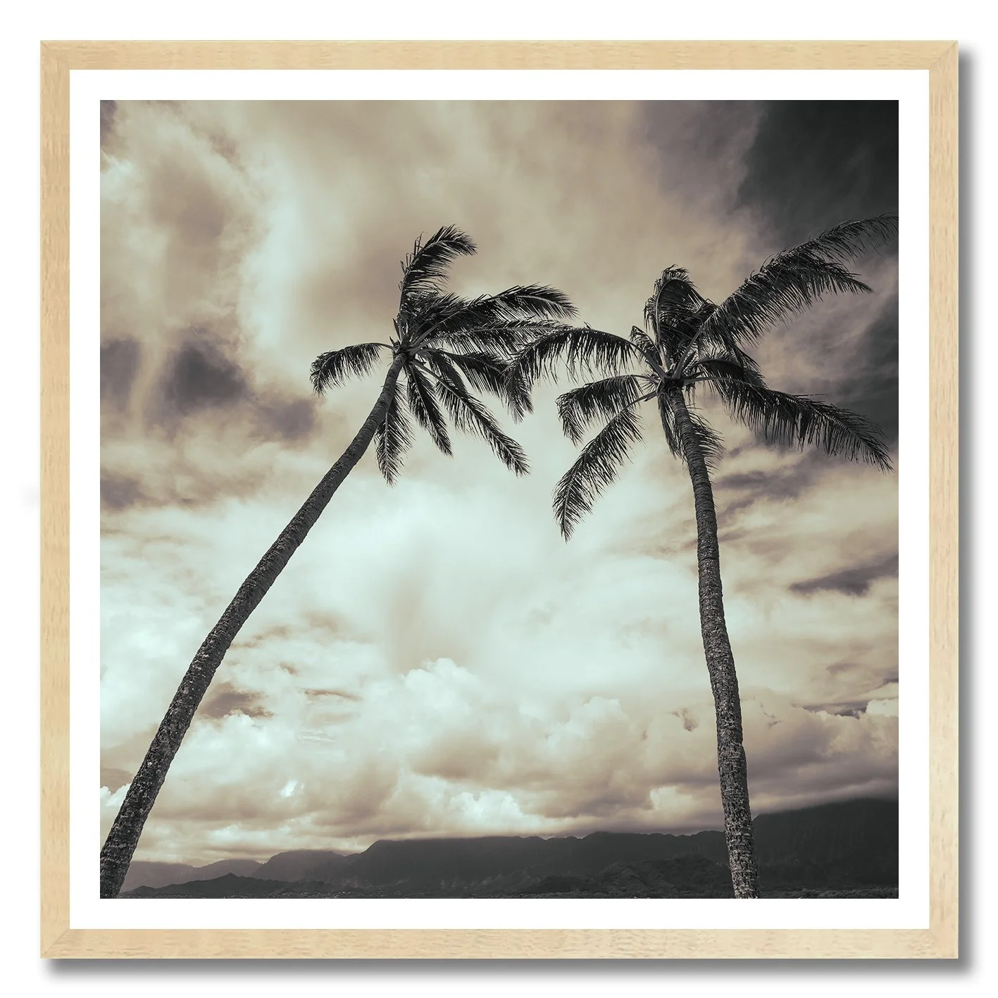 black and white palm tree photograph under cloudy hawaiian sky